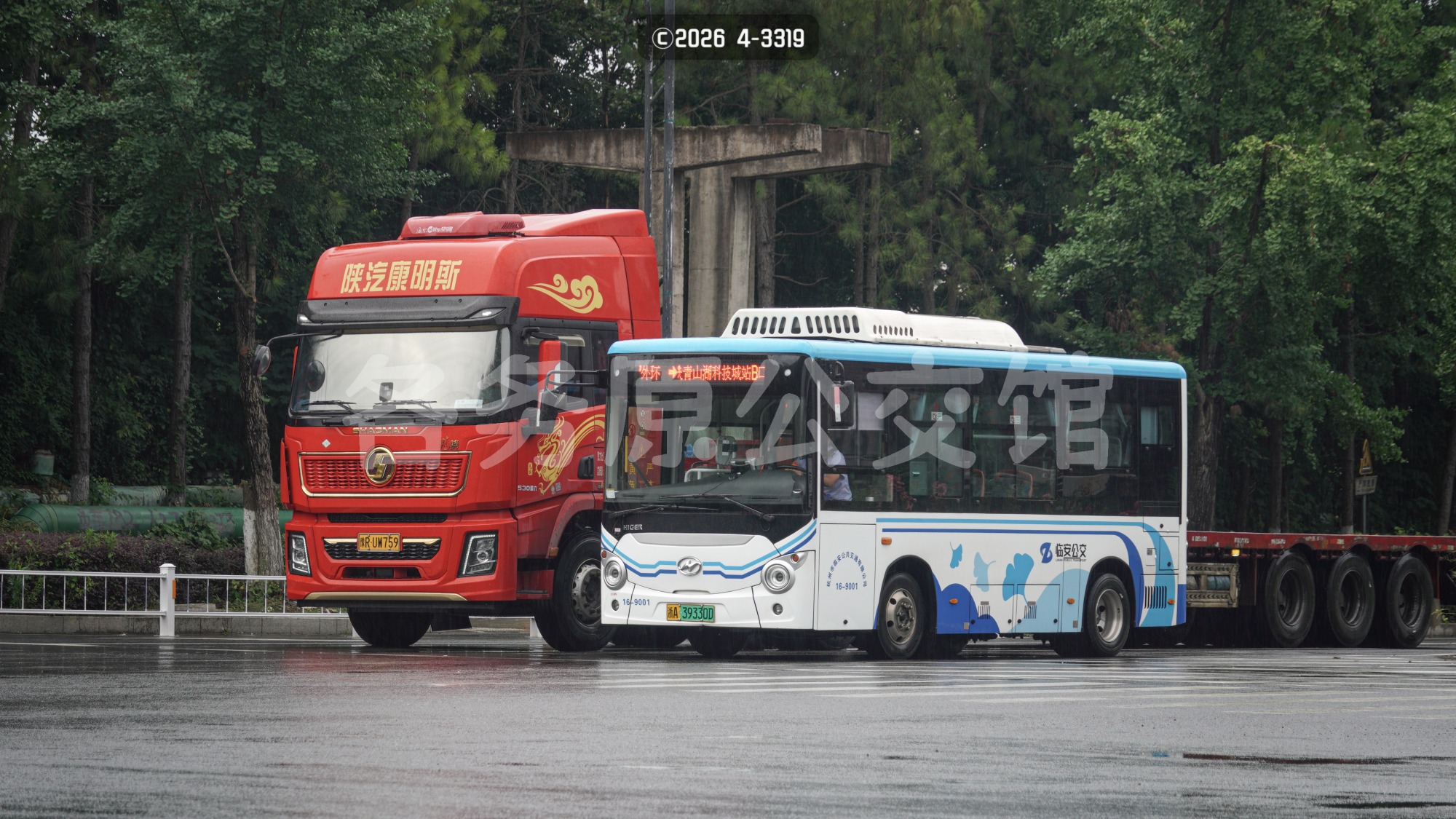 热门图片
