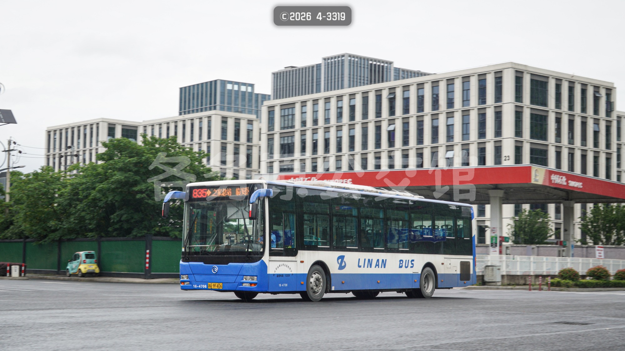 热门图片