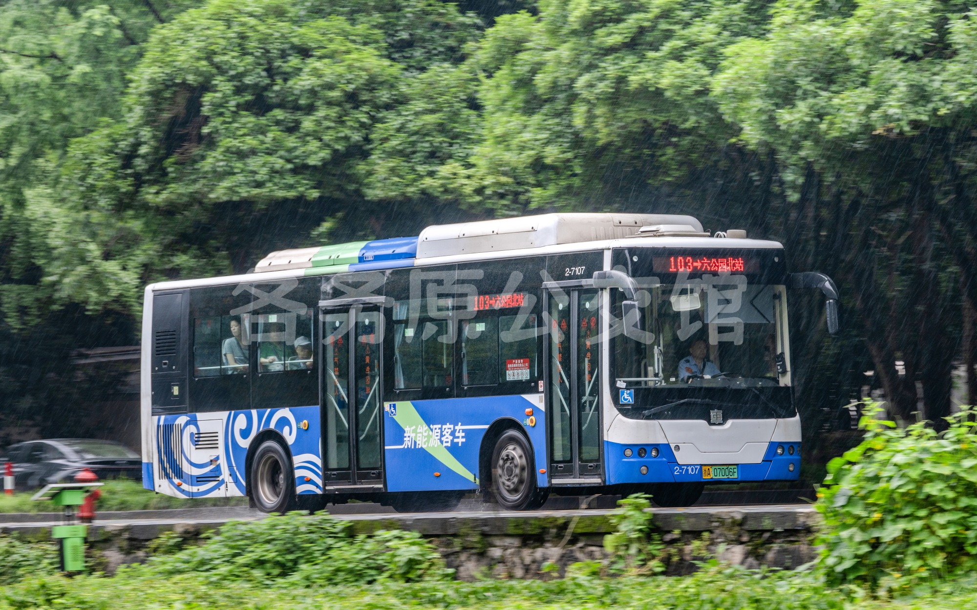 热门图片