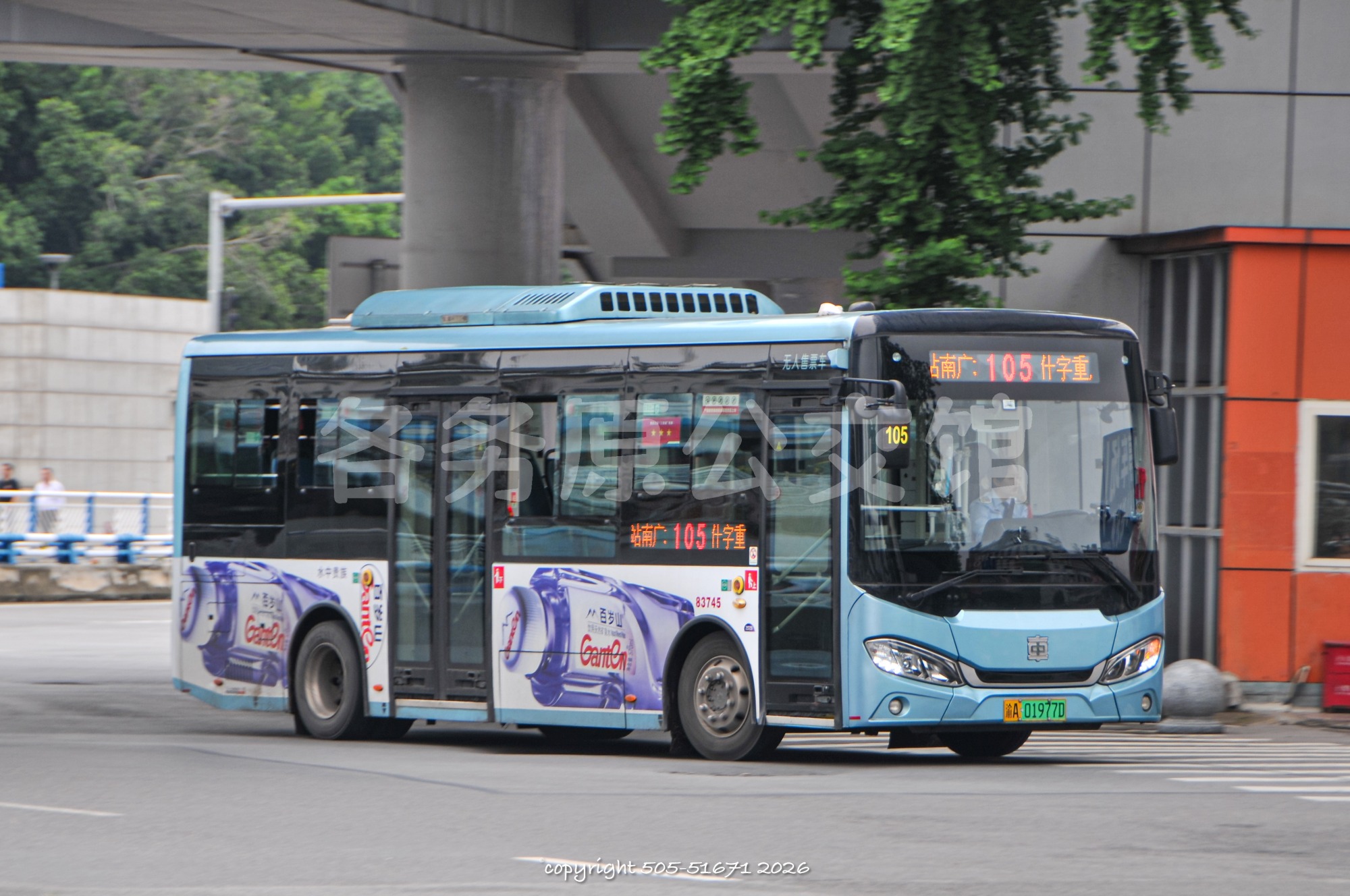 热门图片