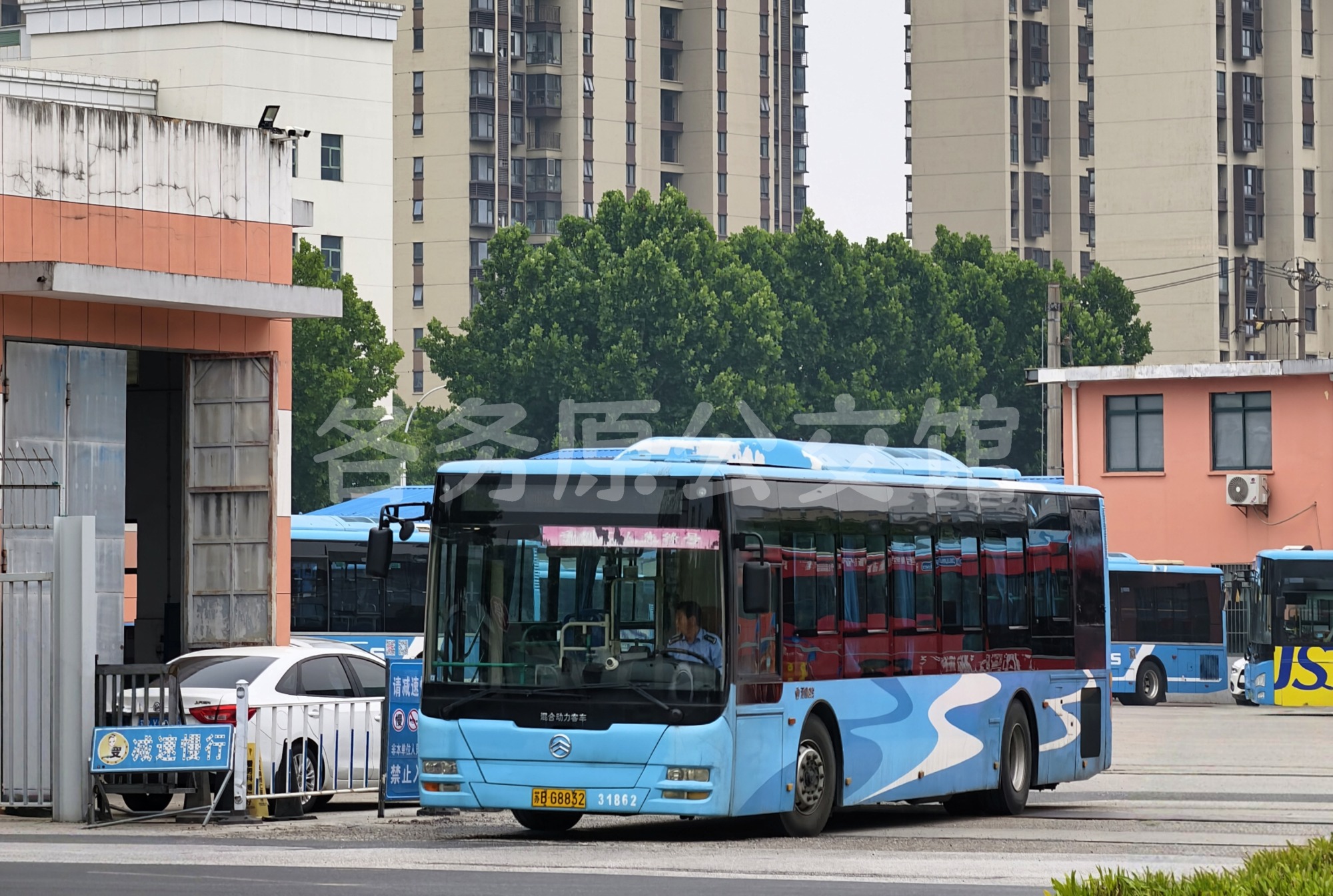 热门图片