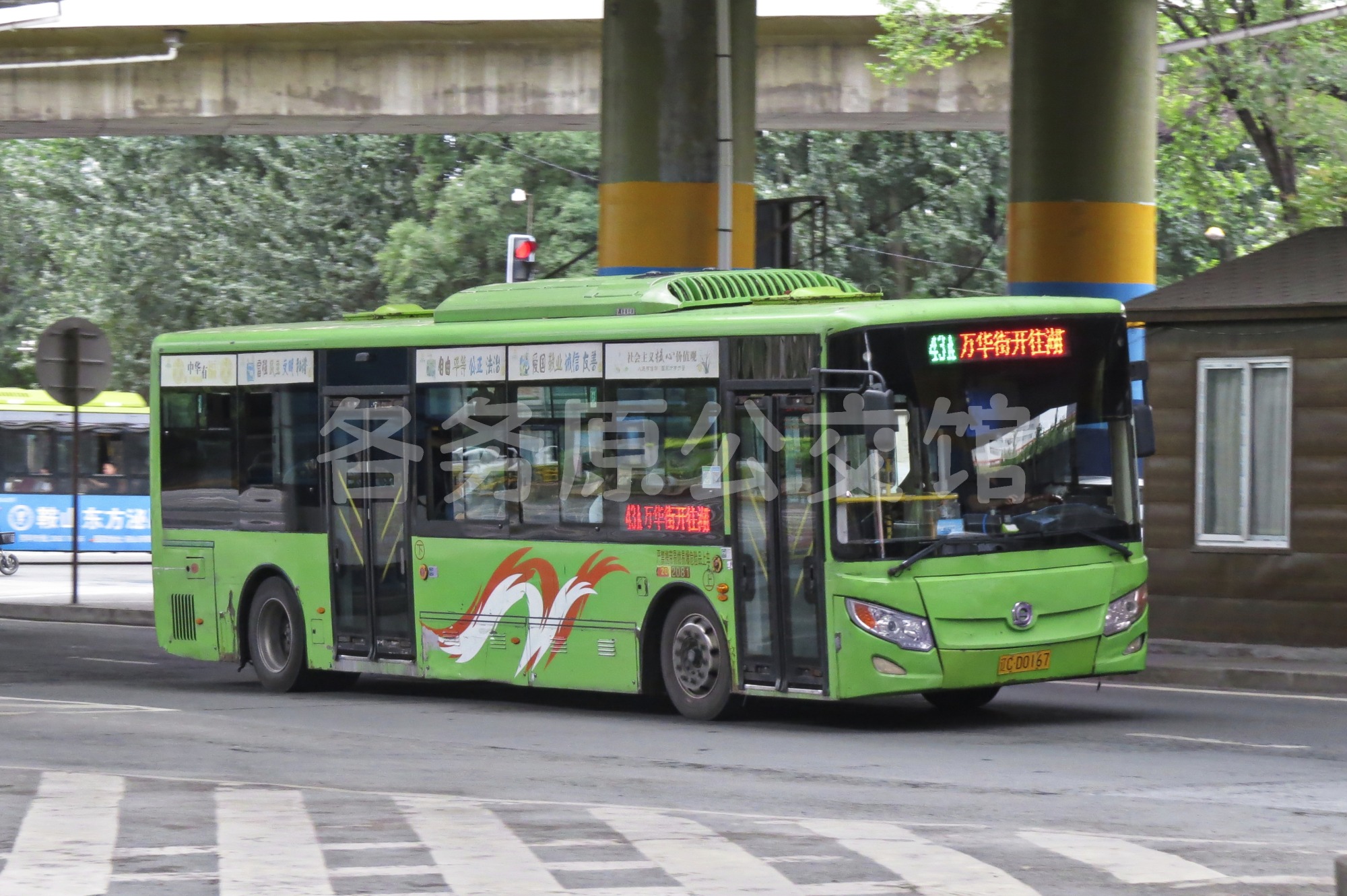 52081