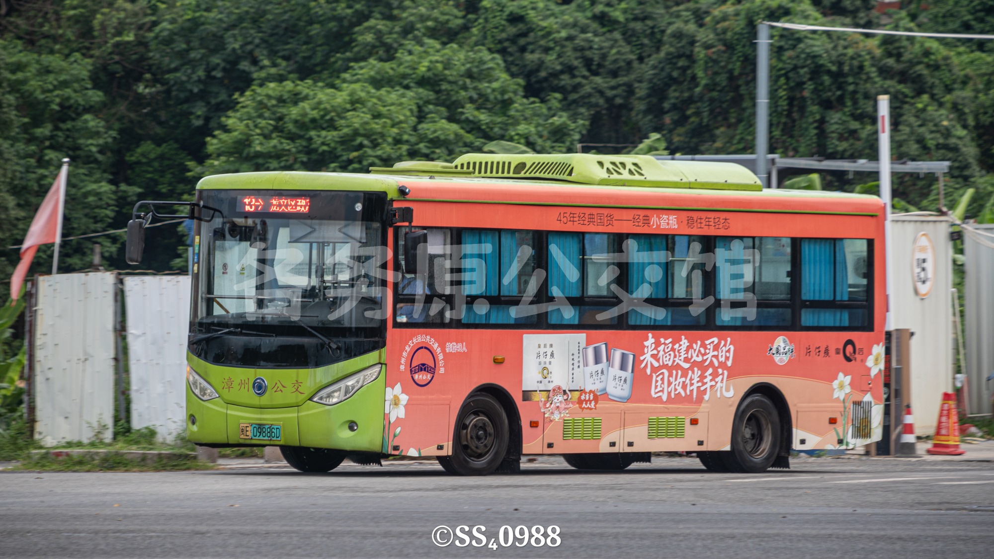 热门图片