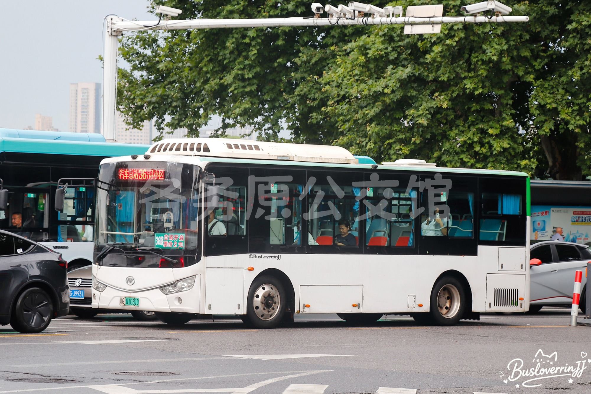 36路【C062】（原色）