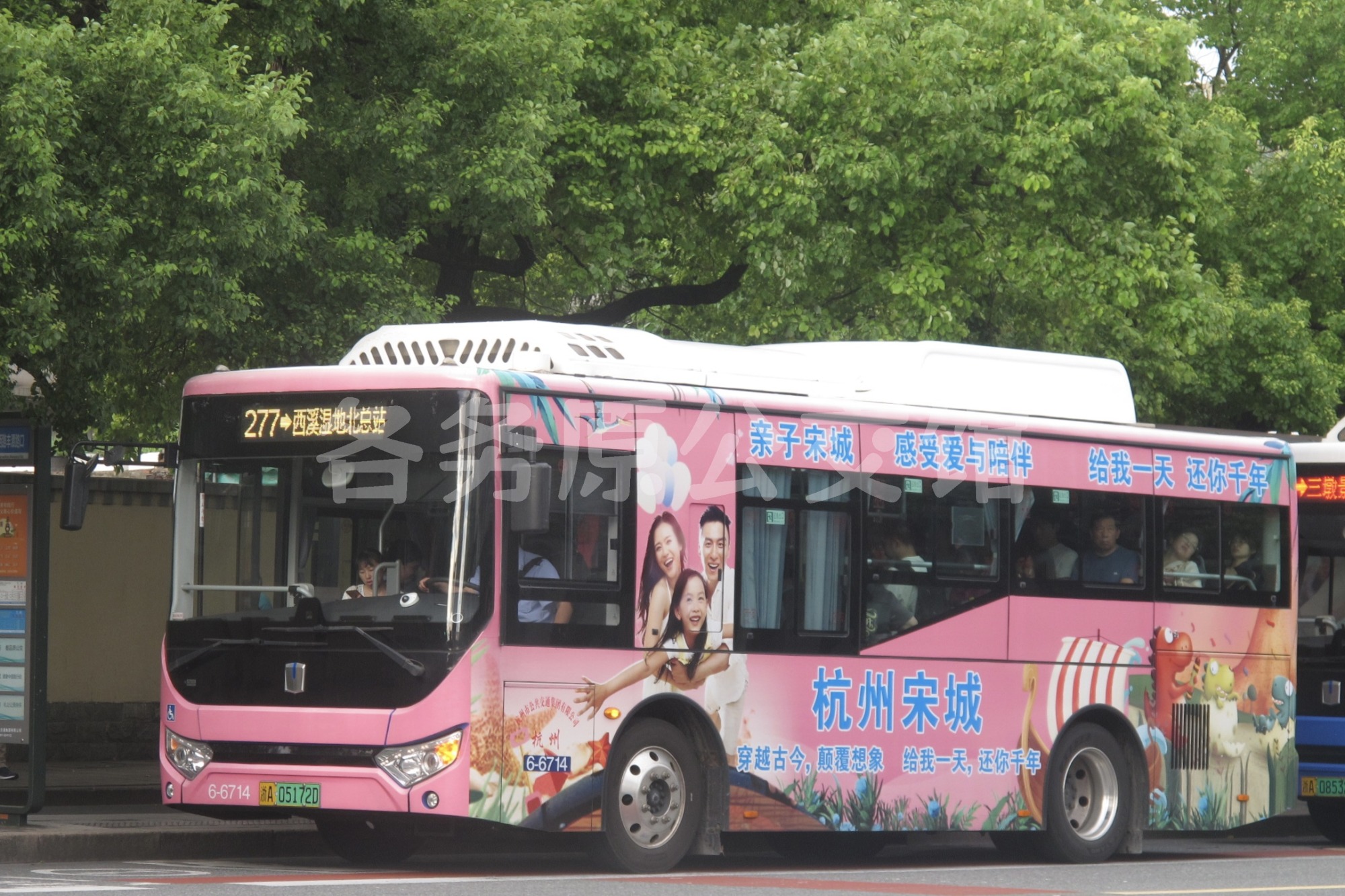 热门图片