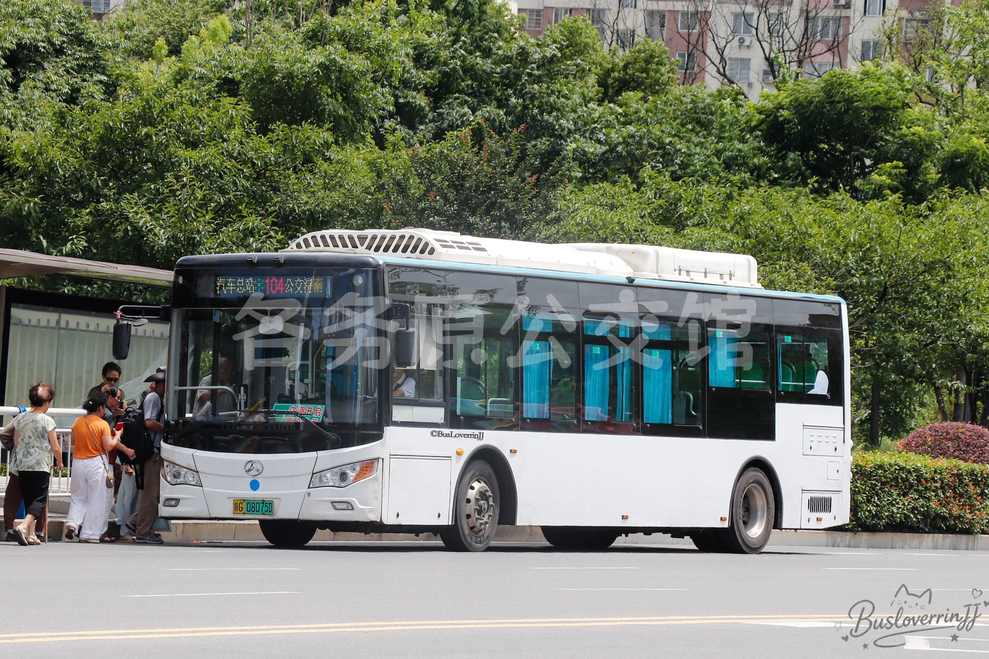 104路【D049】（原色）