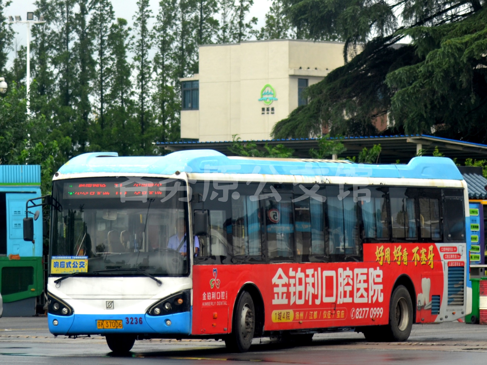 热门图片