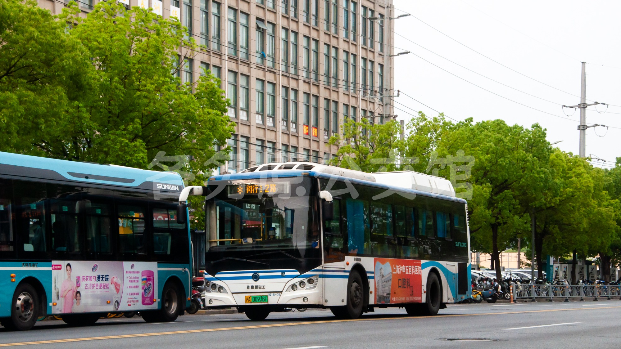 未命名图片