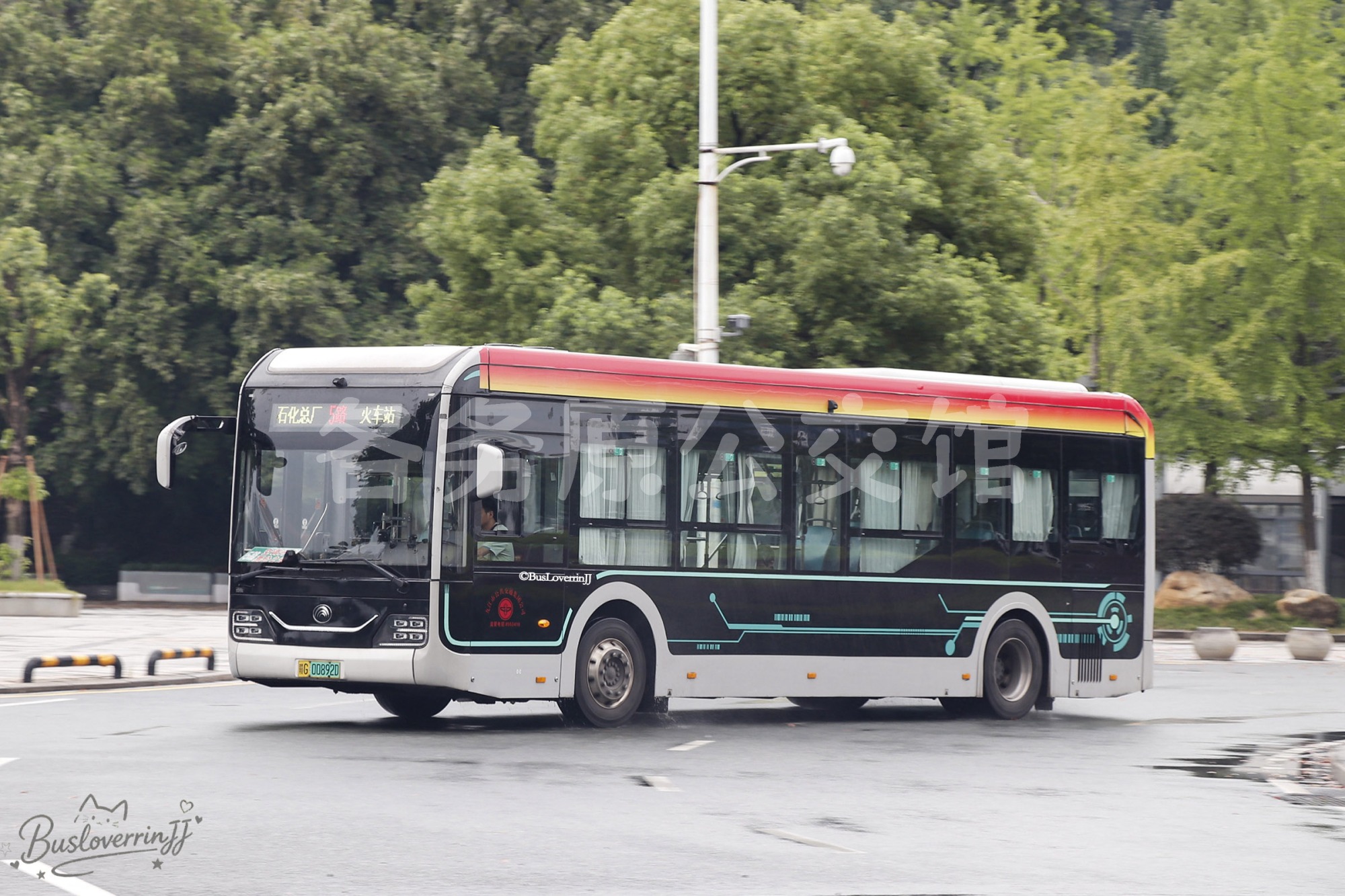 5路【B002 原502路/801路|扫墓专线1】（原色）