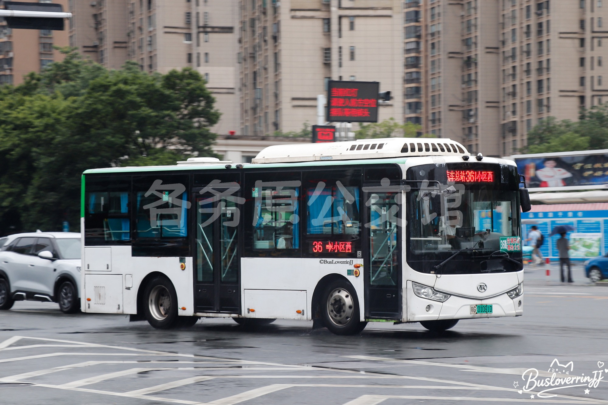 36路【C062】（原色）