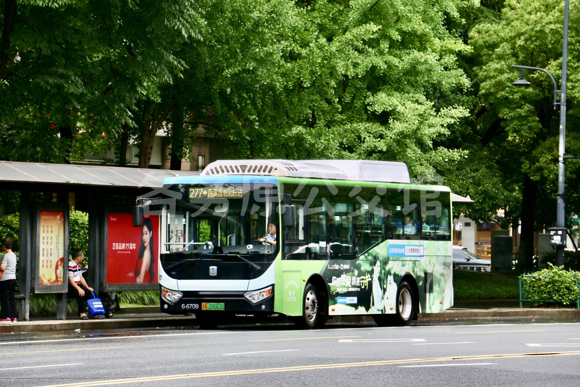 277路6-6709