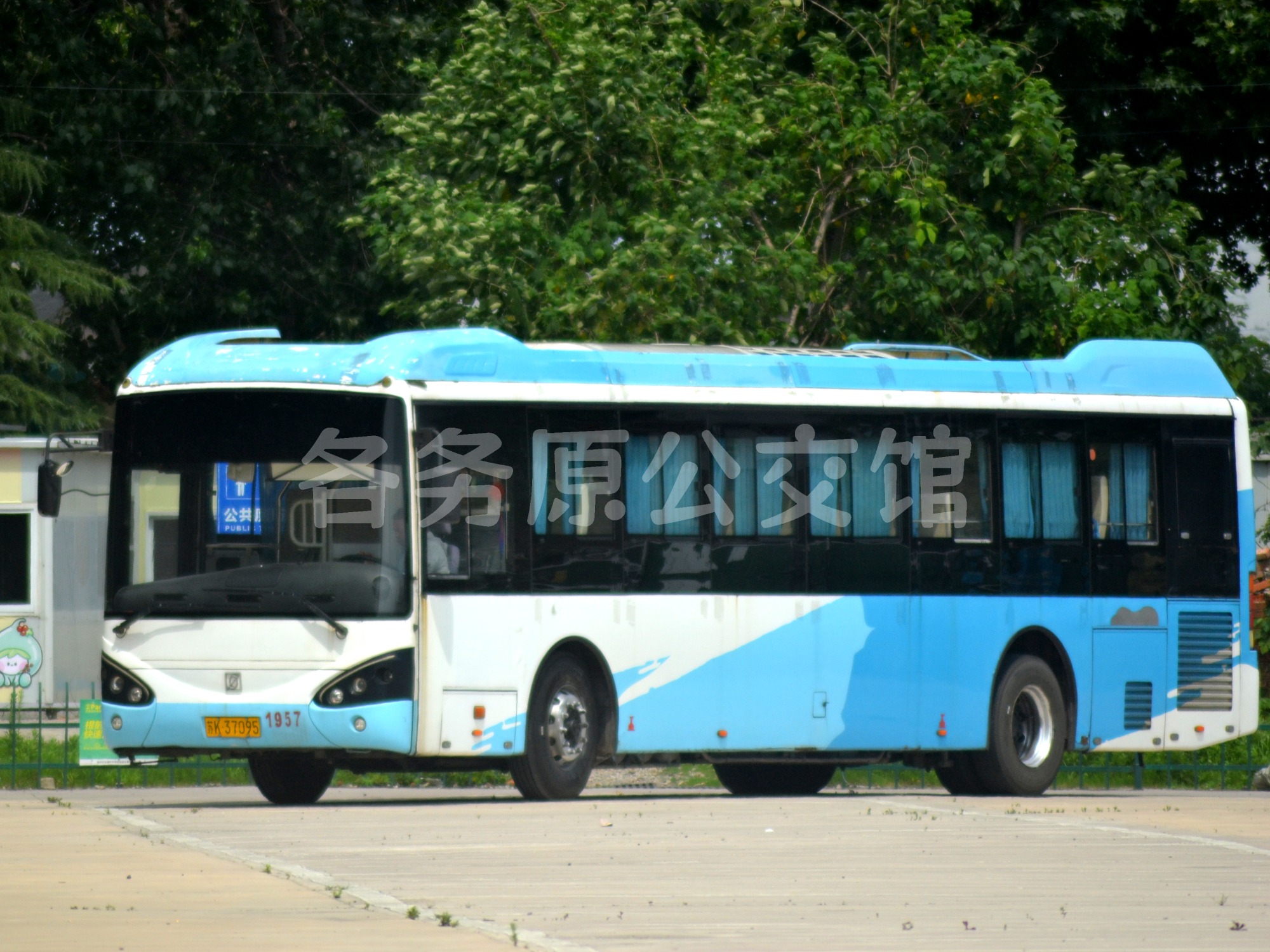 图片
