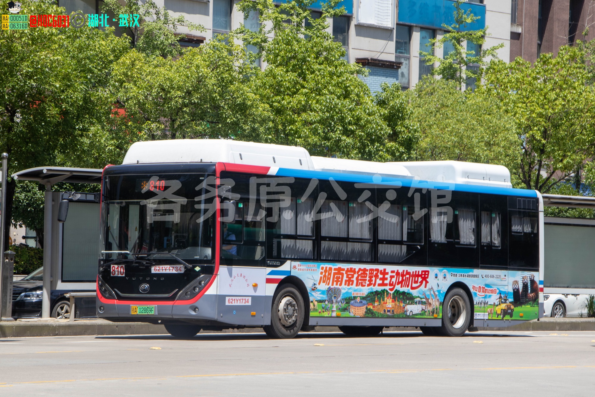 ZK6106CHEVNPG2图片