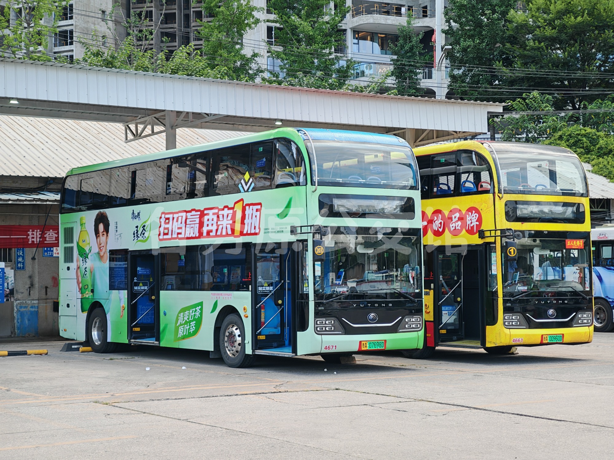 未命名图片