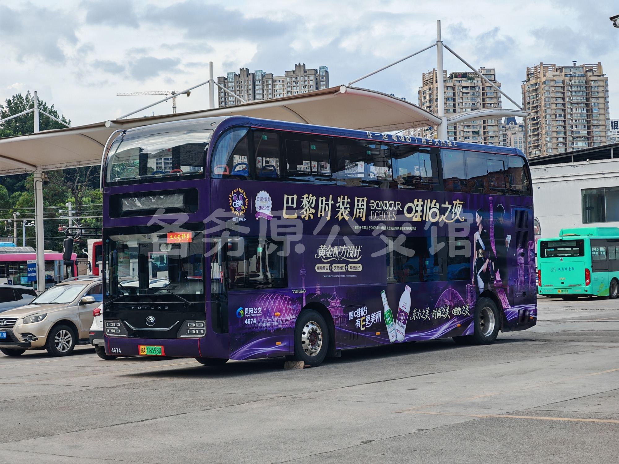 未命名图片