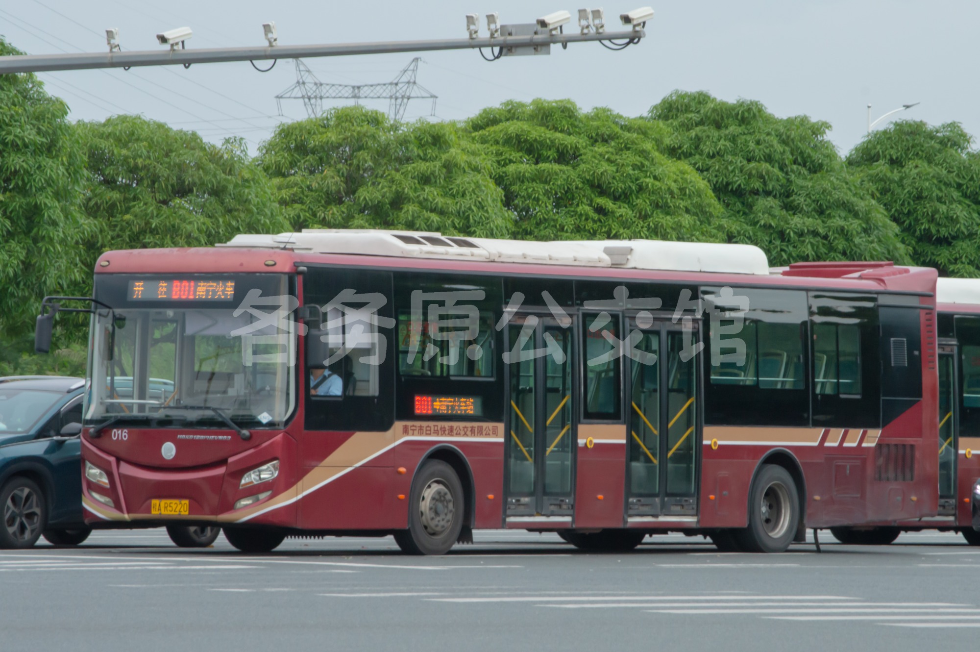 热门图片