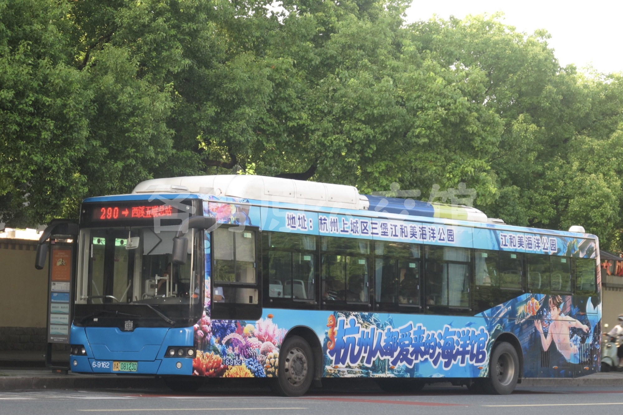 热门图片