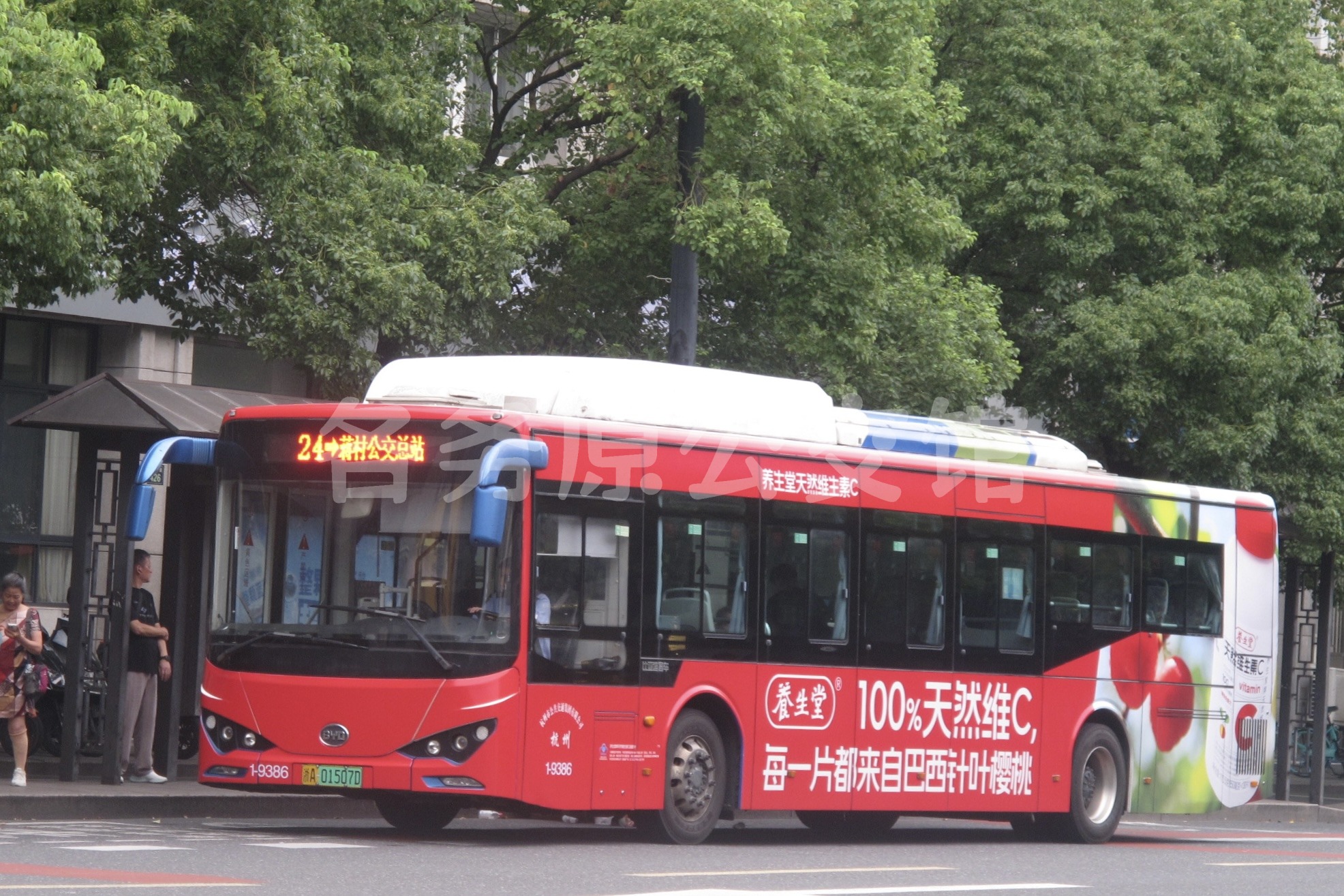 热门图片