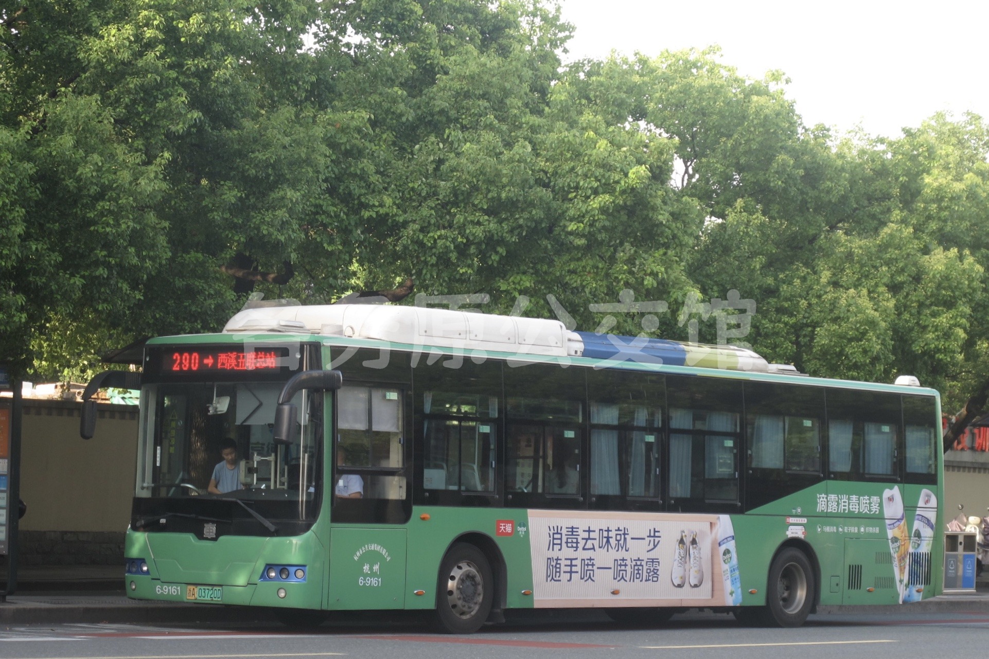热门图片