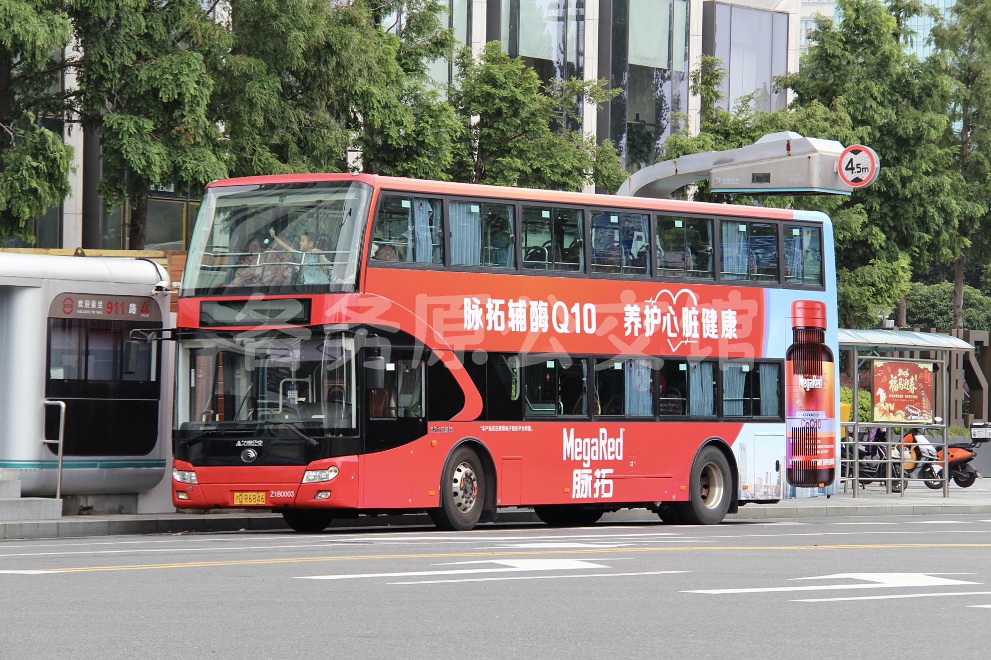 热门图片