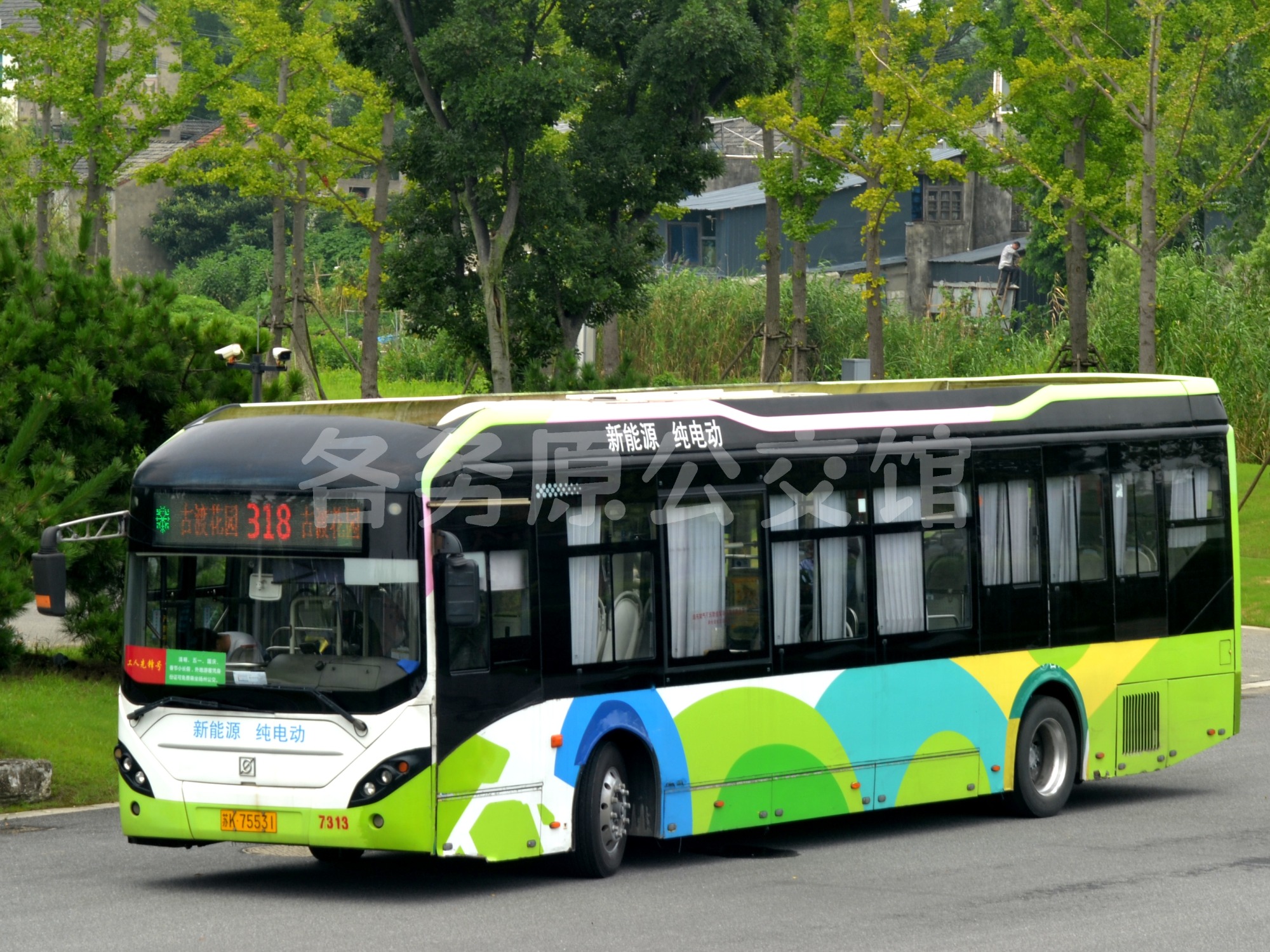 热门图片