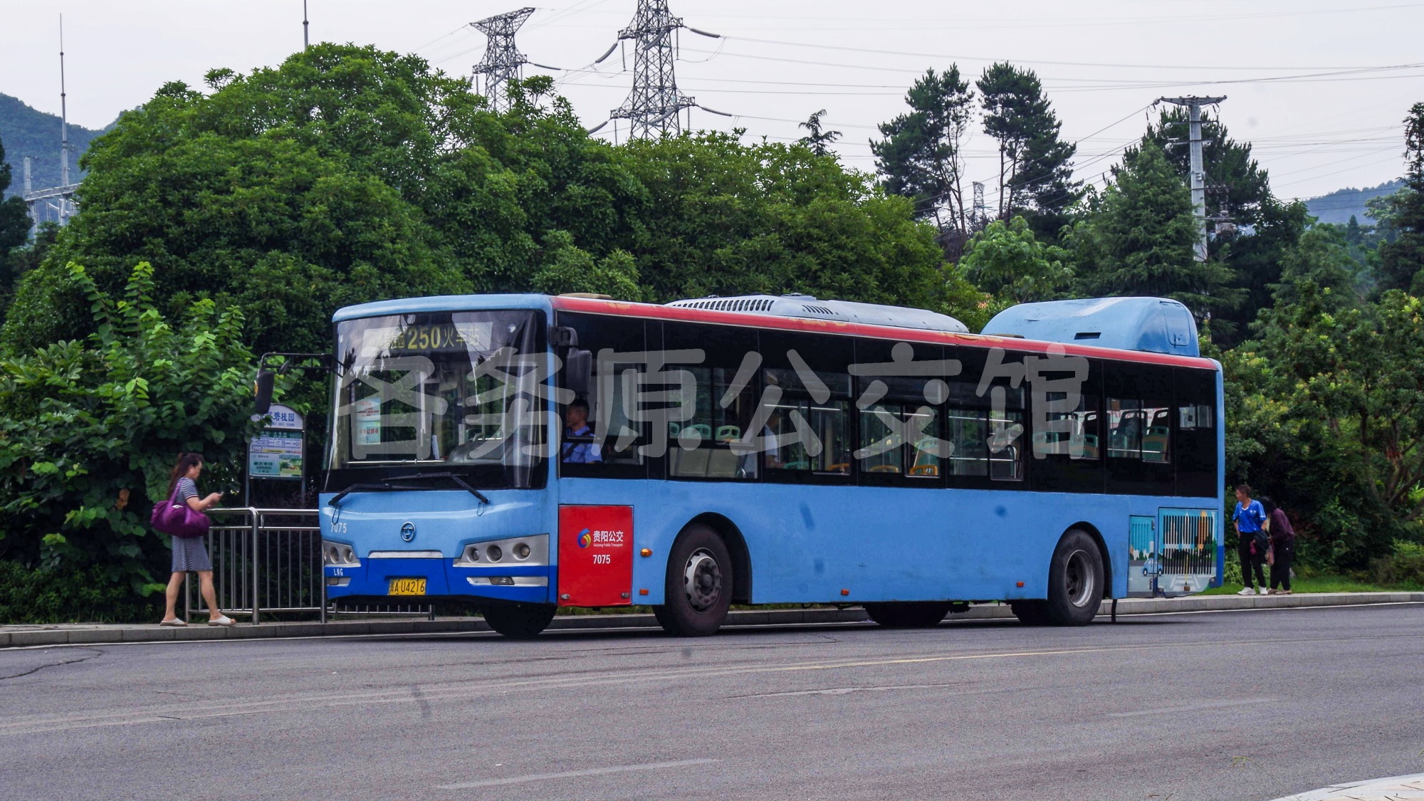 WD6120HNGC图片