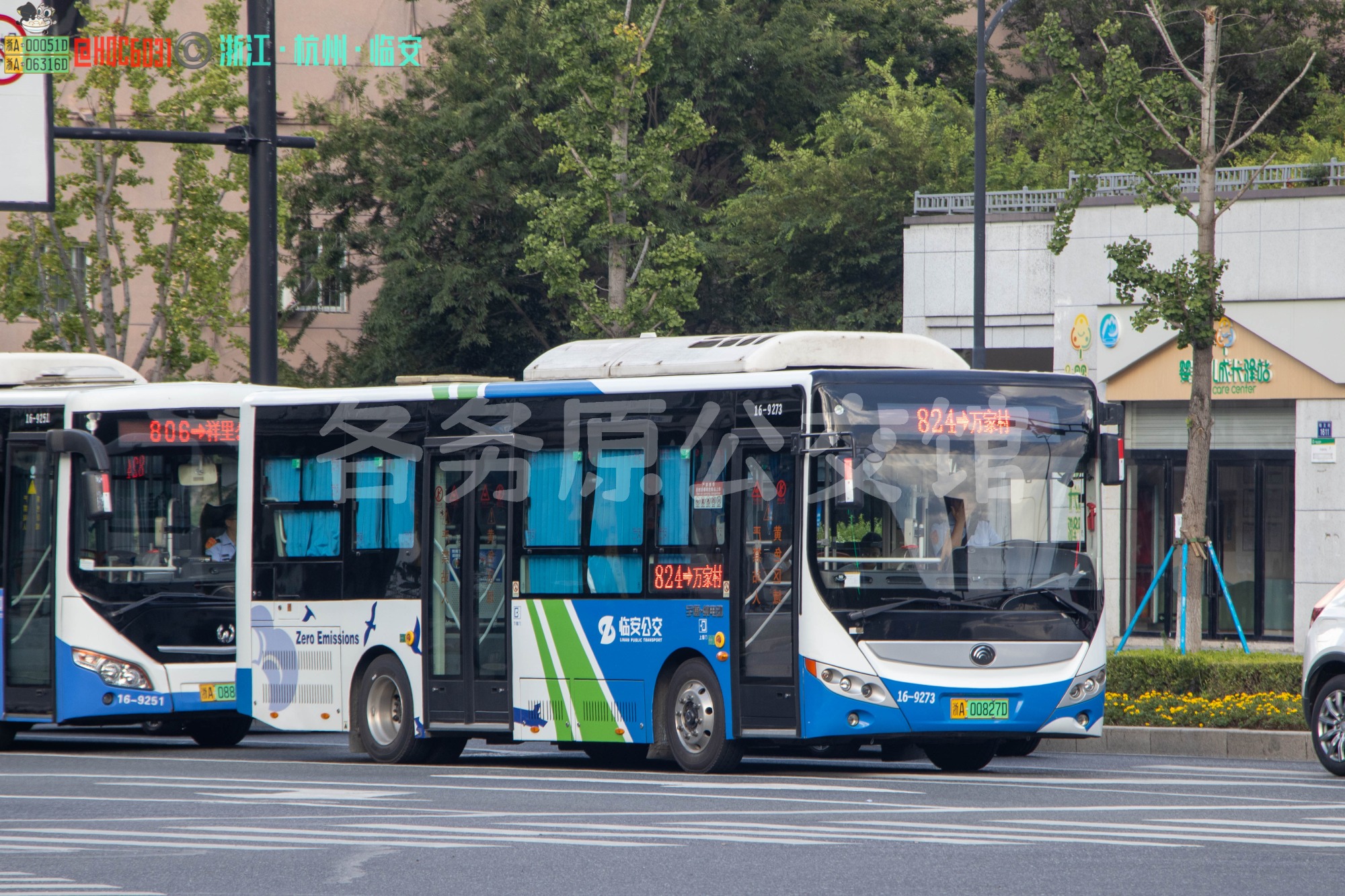 临安公交 - ZK6850BEVG57A