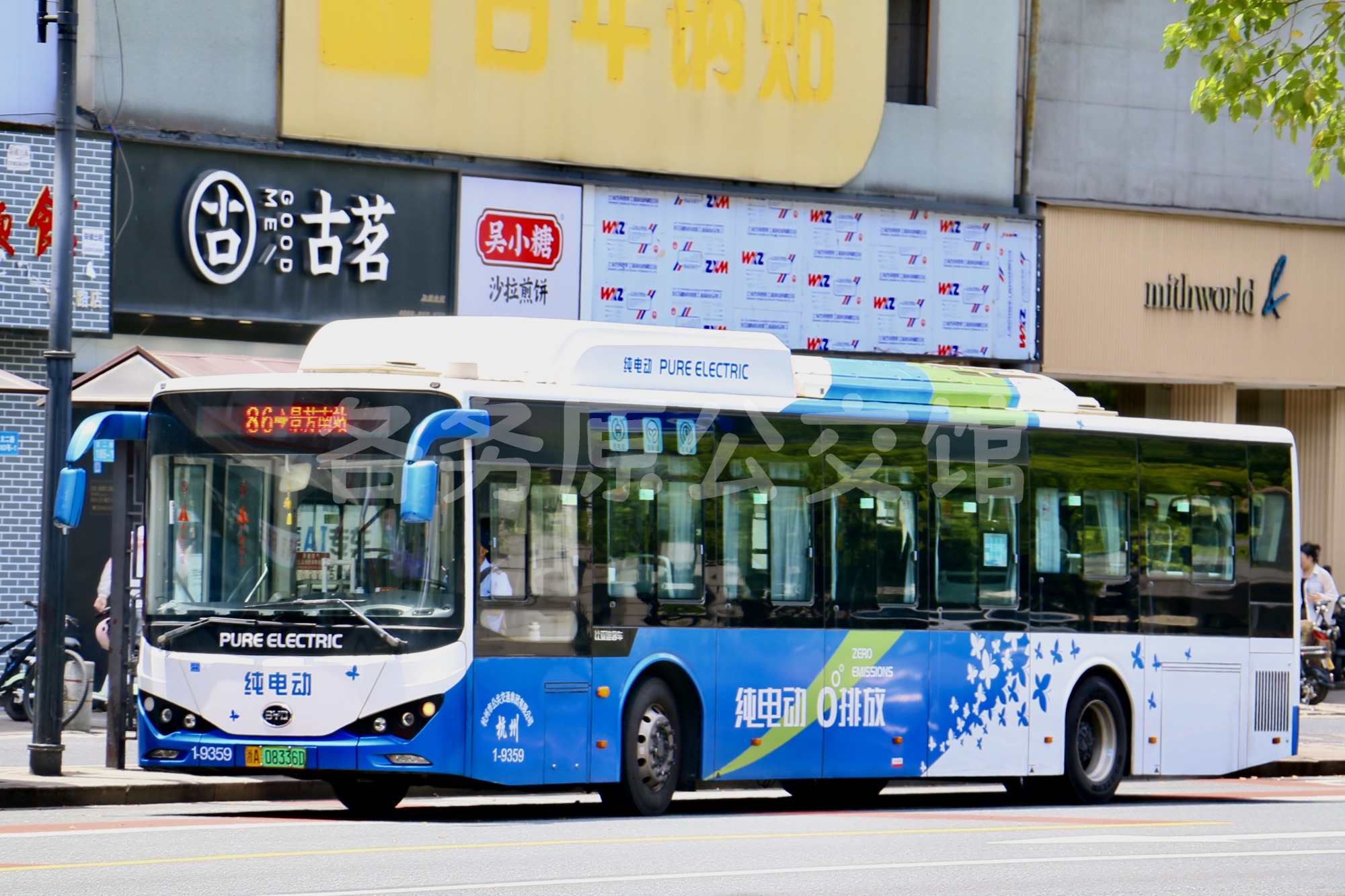 杭州公交 - BYD6122LGEV7