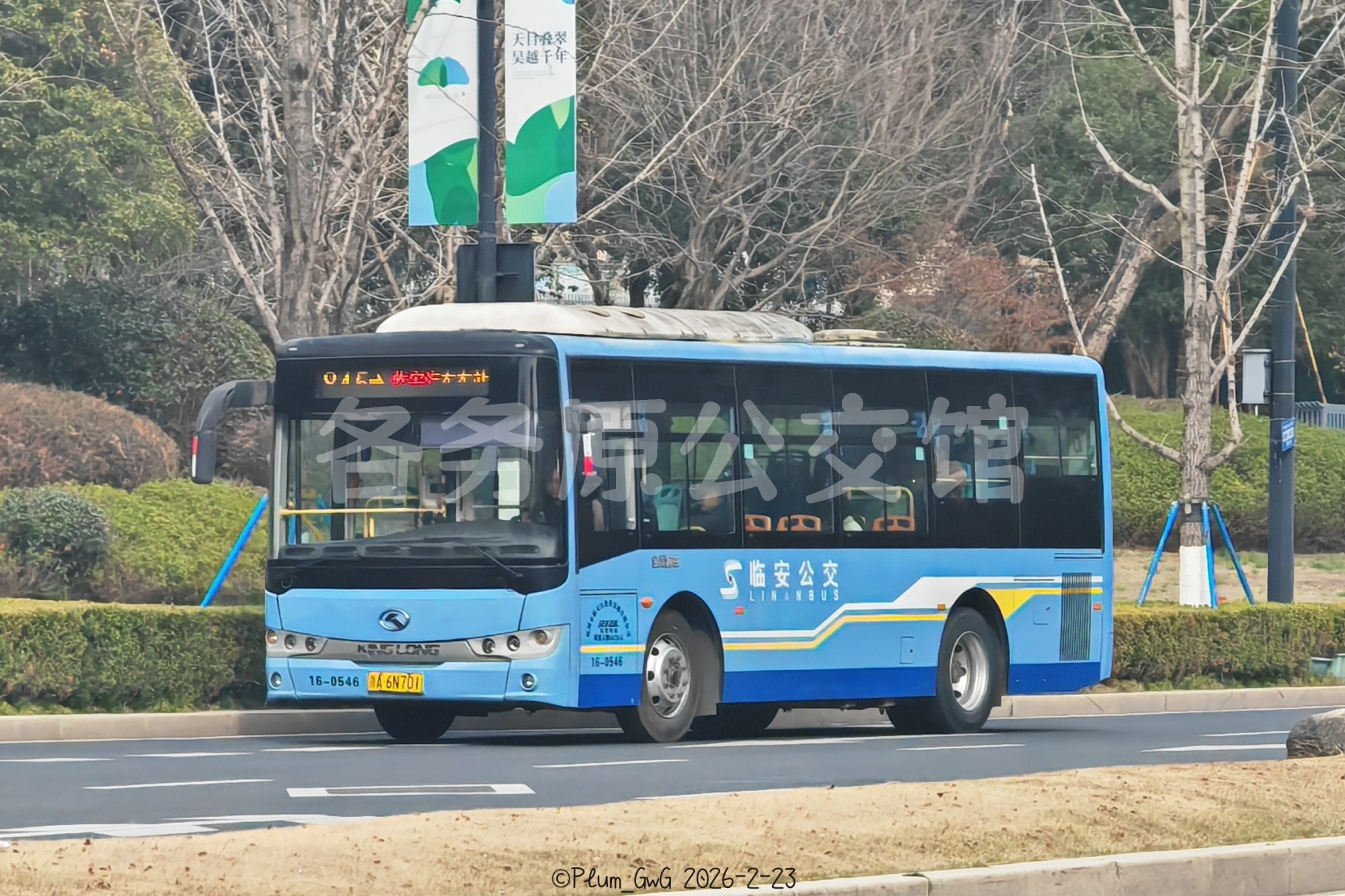 热门图片