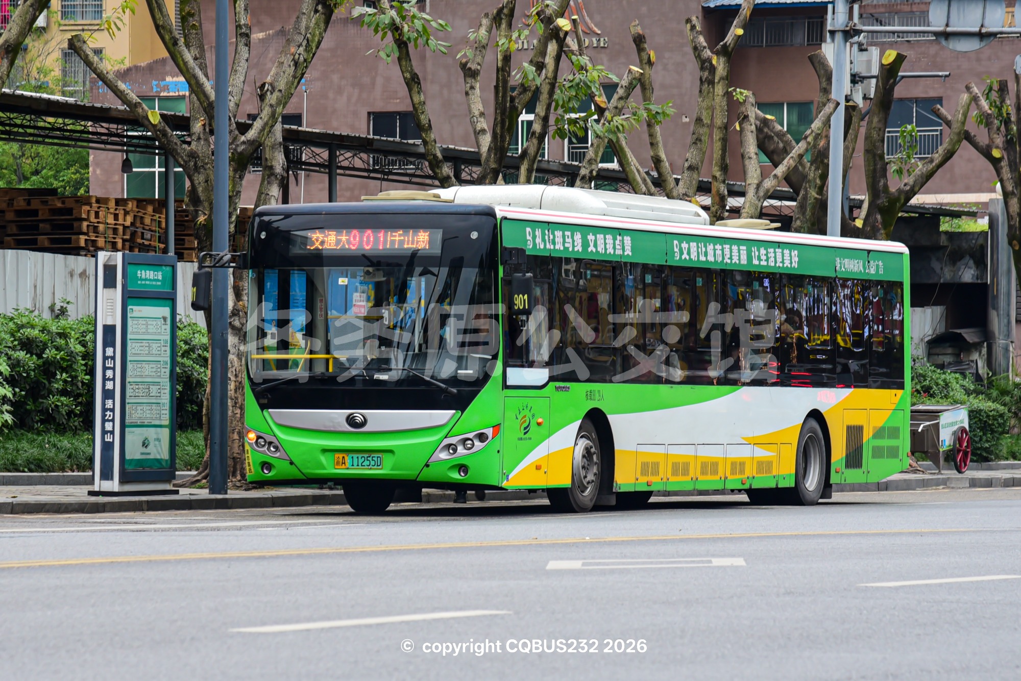 ZK6125BEVG59图片