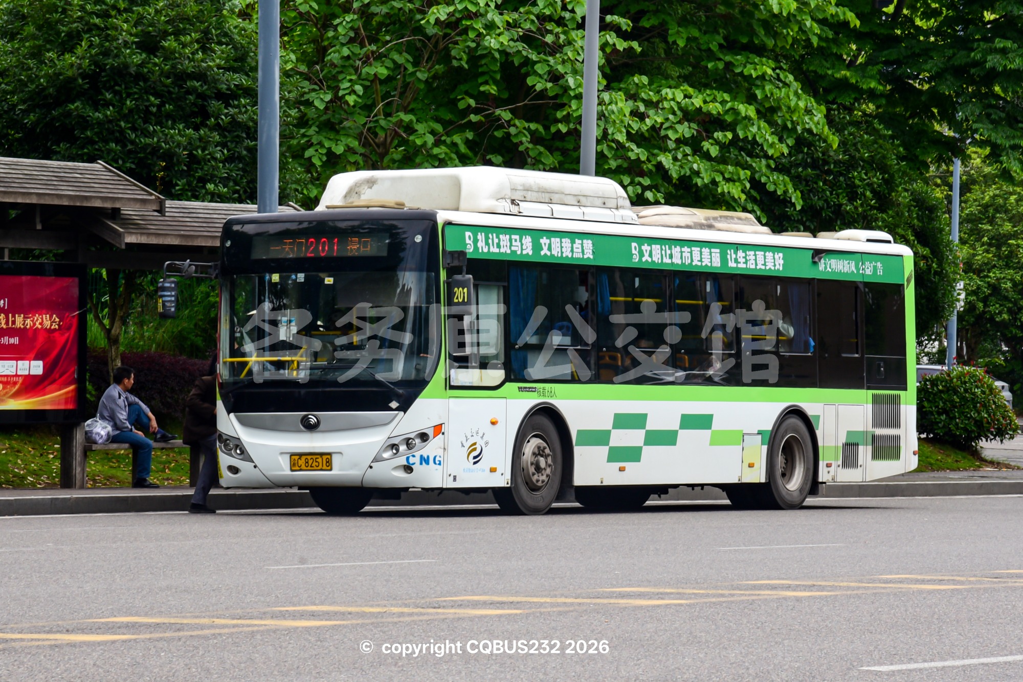 ZK6105CHEVNPG21图片