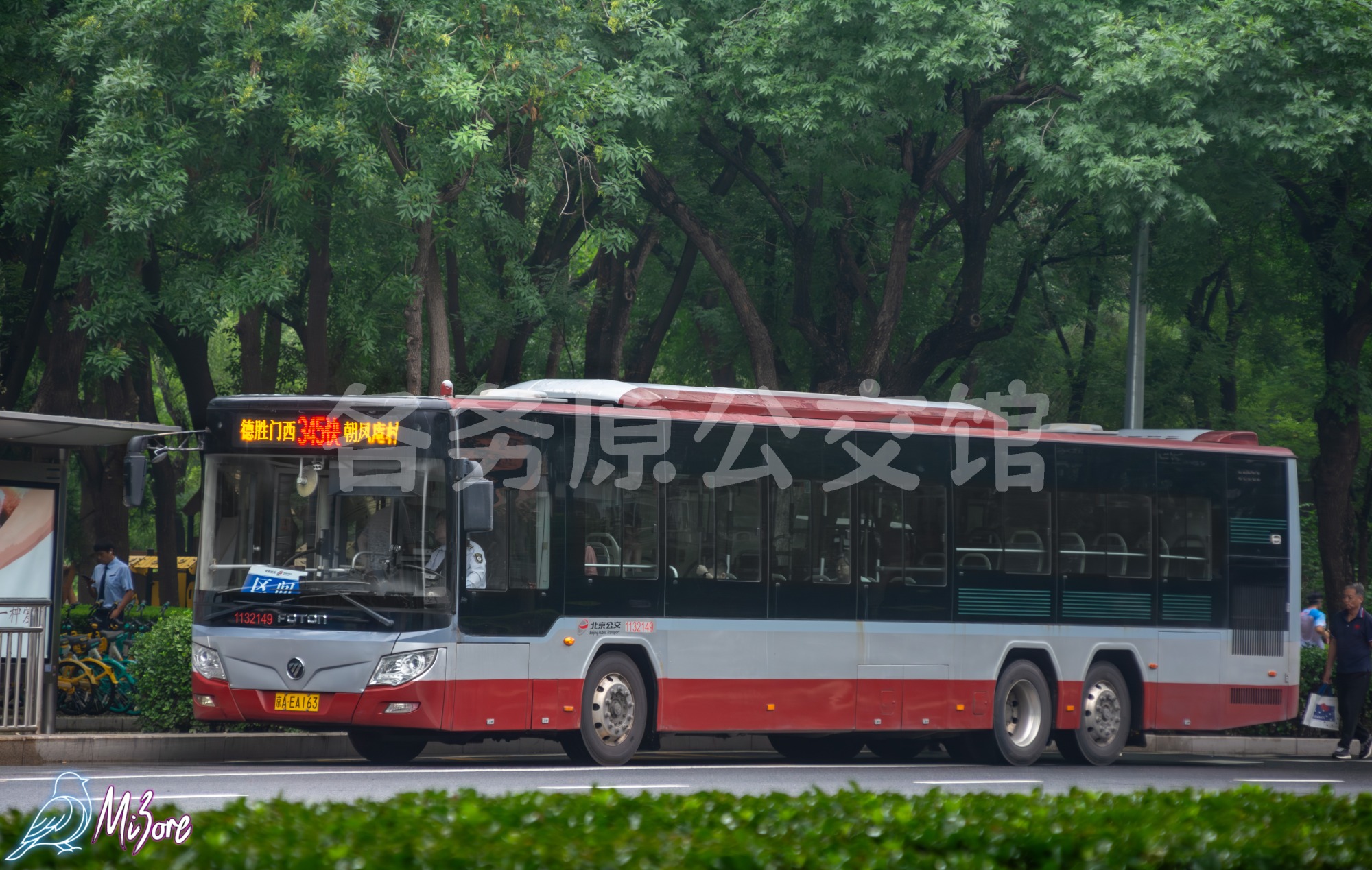 热门图片