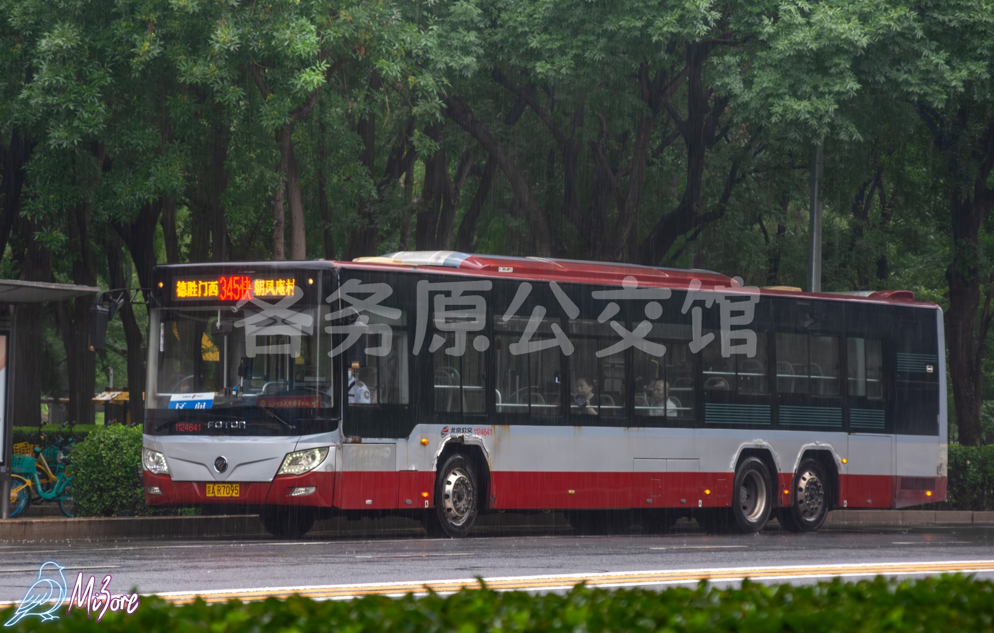 热门图片