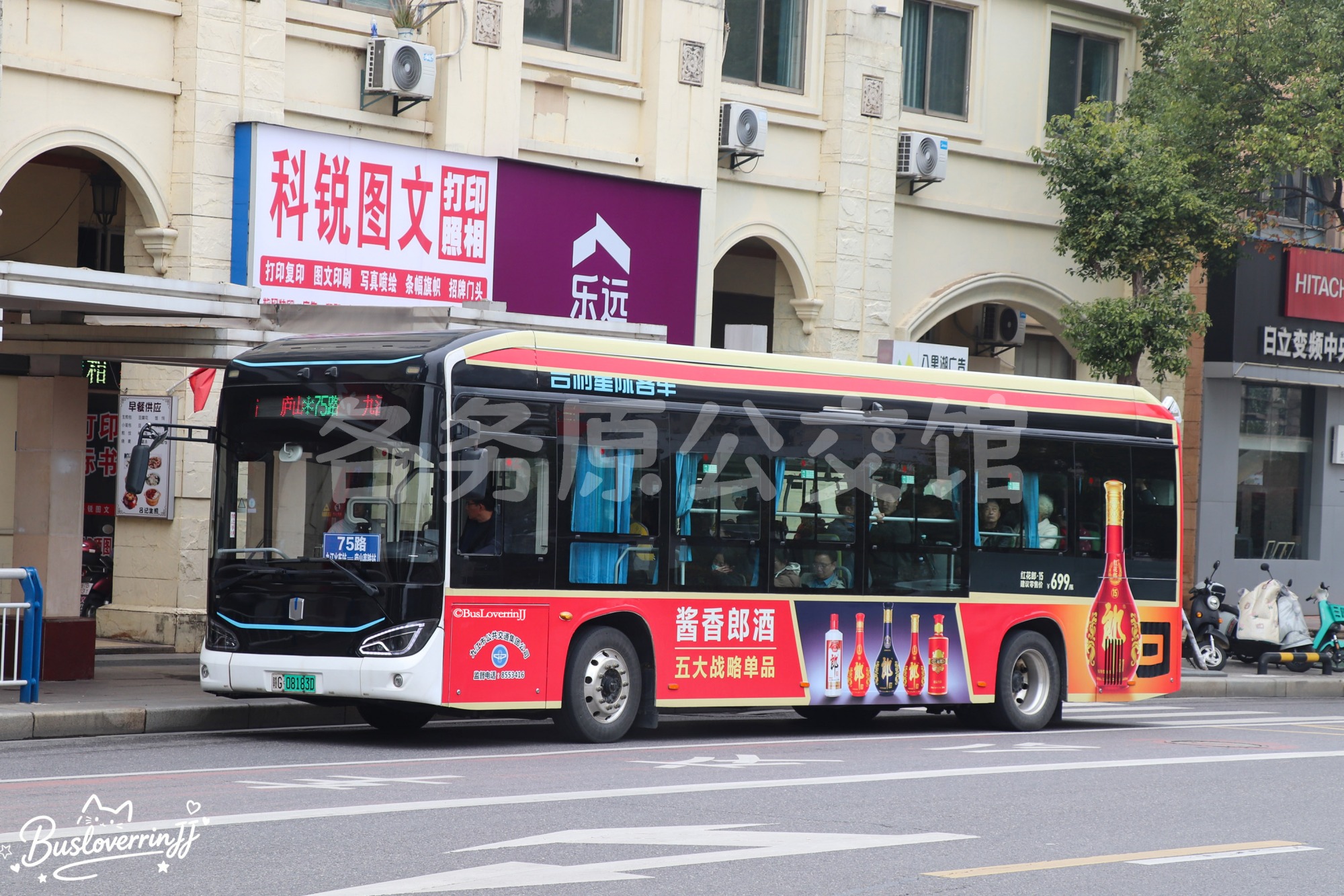 DNC6101BEVG21图片