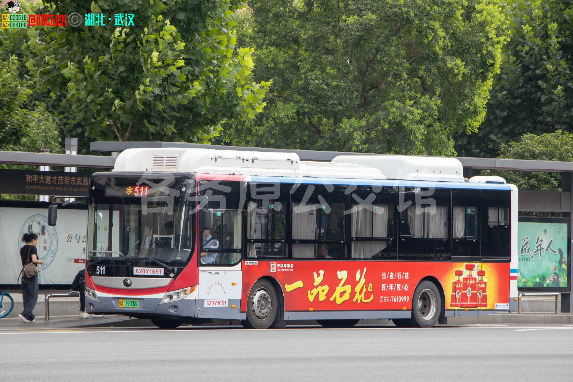 ZK6105CHEVNPG39图片