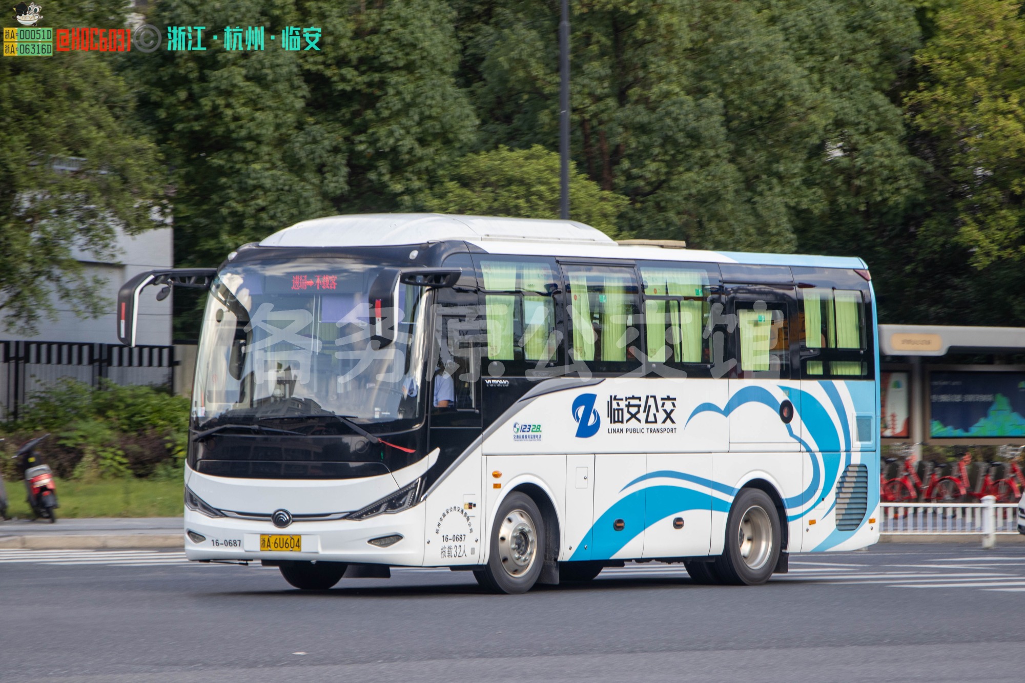 临安公交 - ZK6827H6Y
