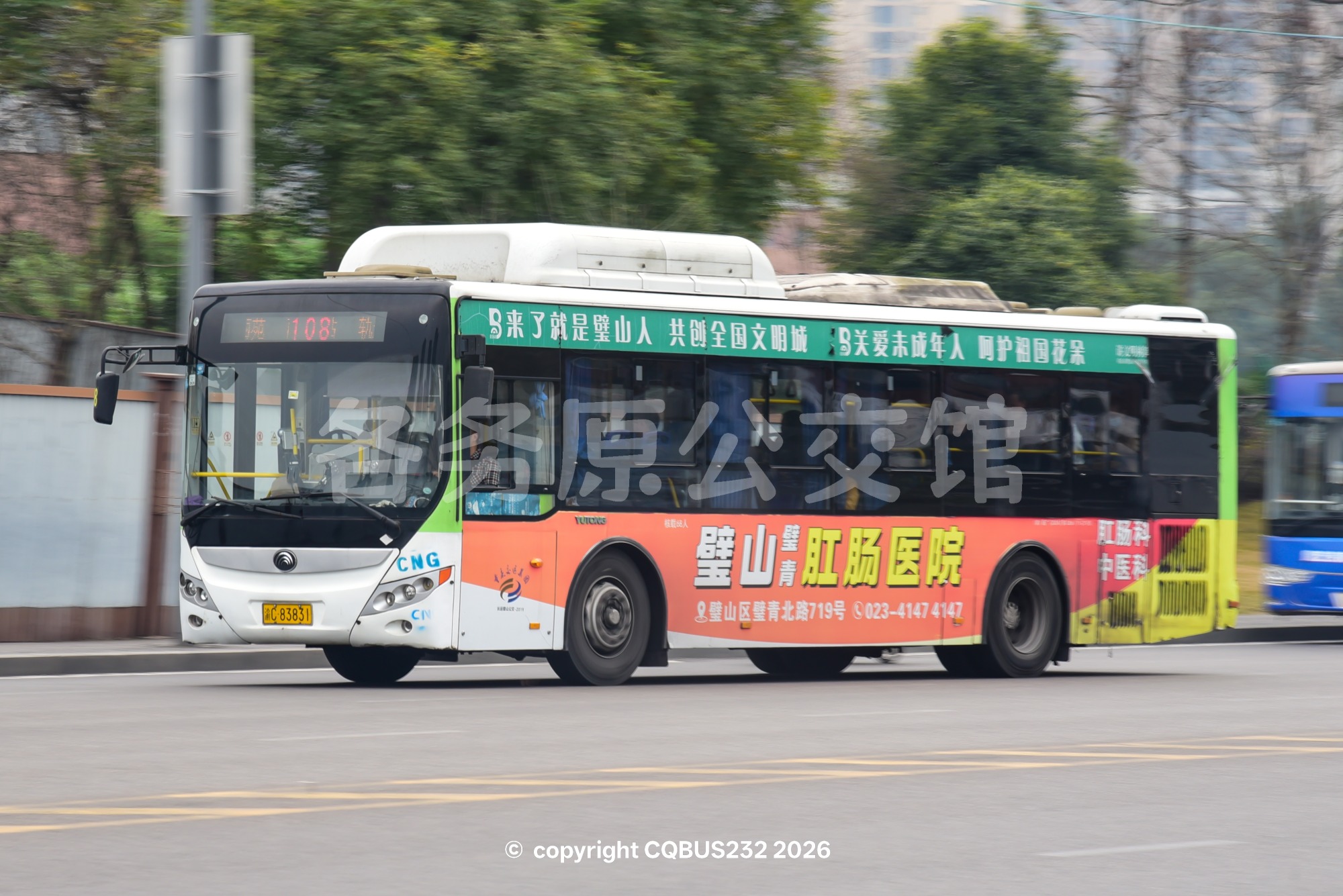 未命名图片