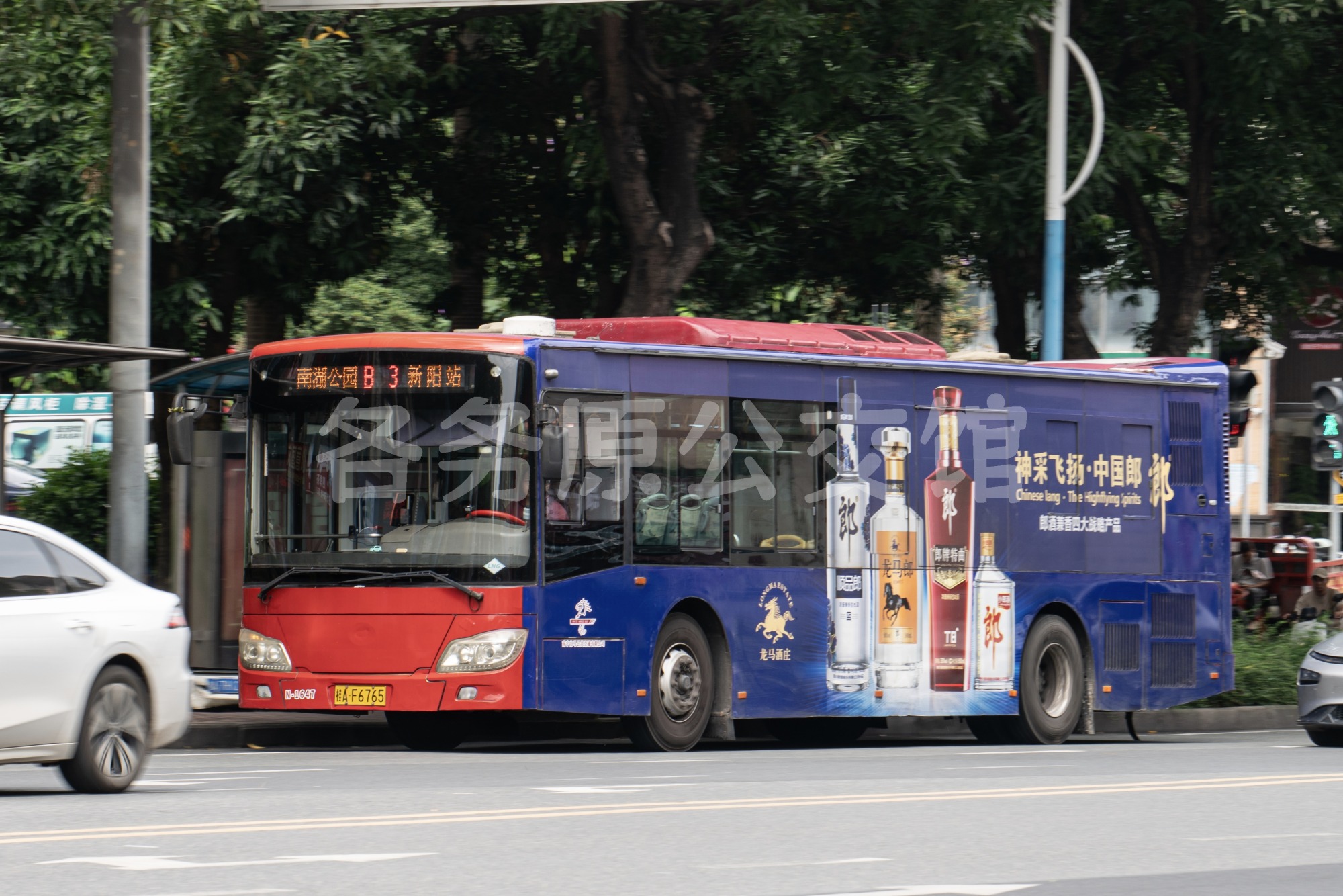 热门图片