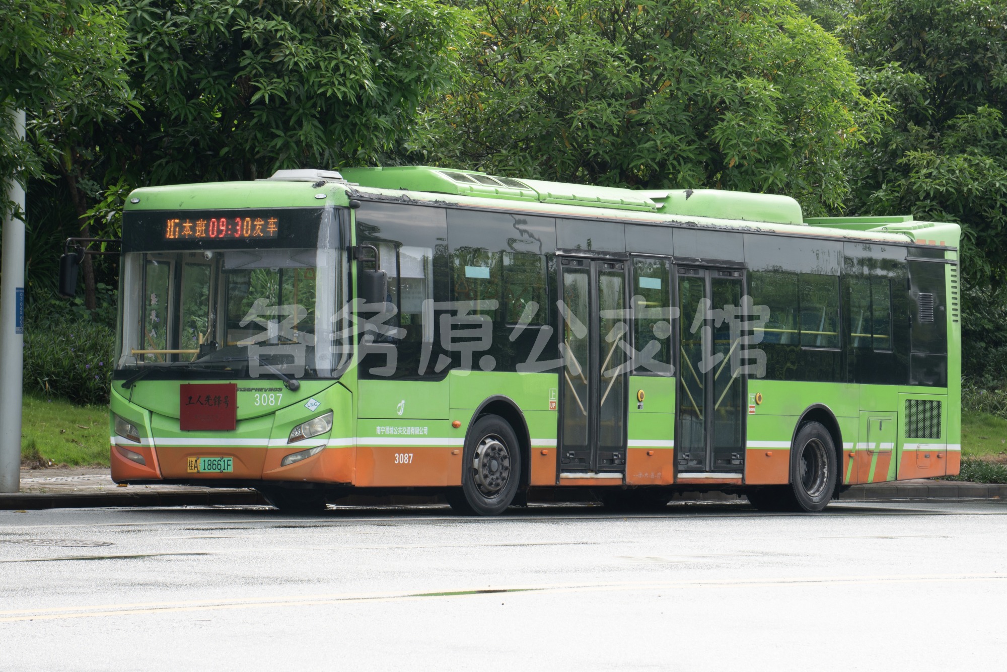 热门图片