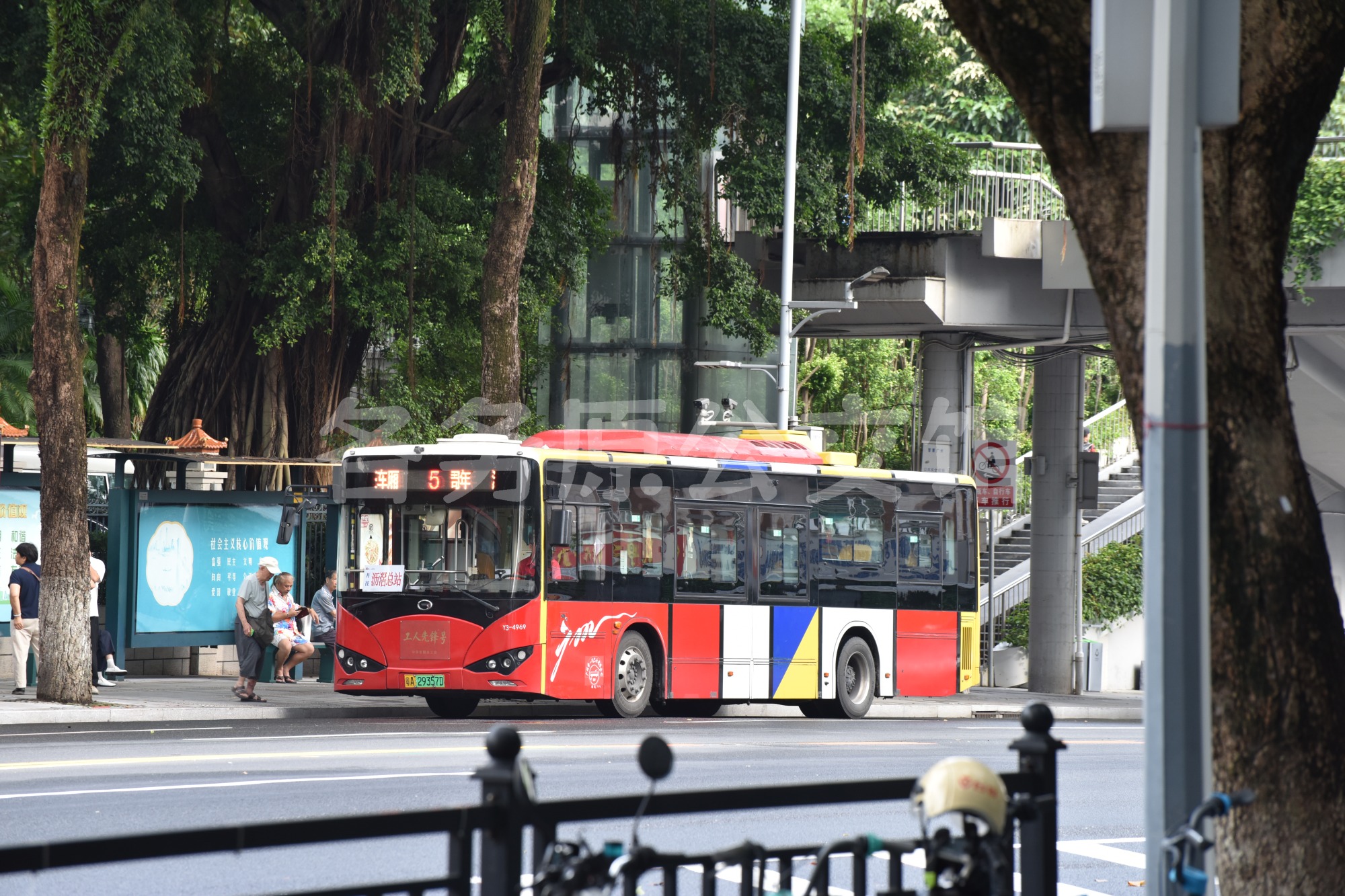 热门图片