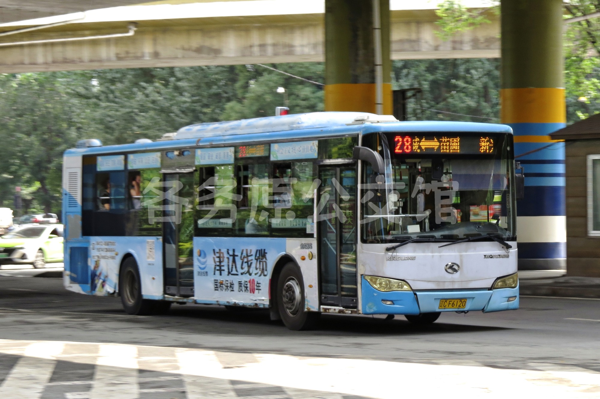 热门图片