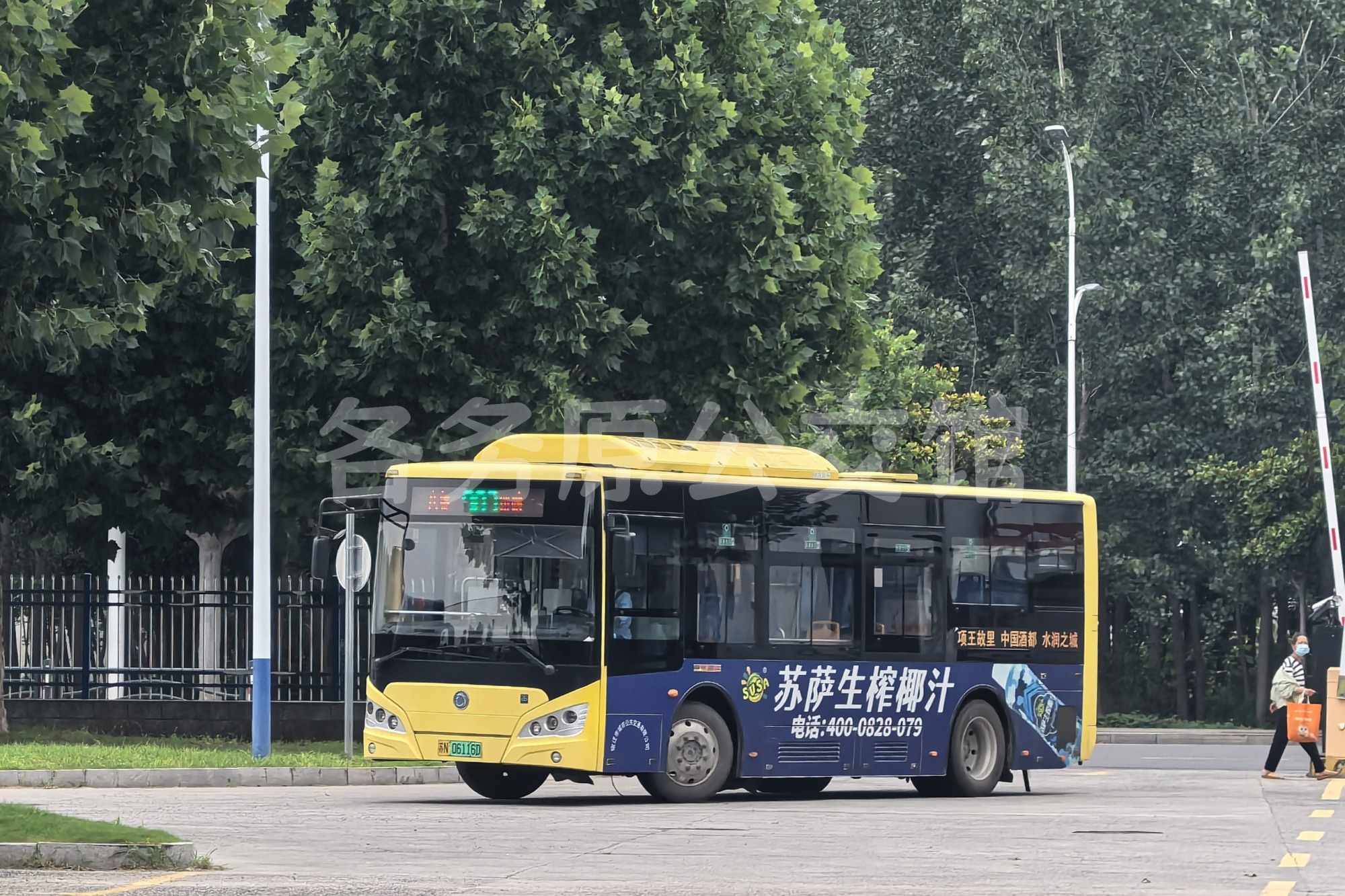 未命名图片