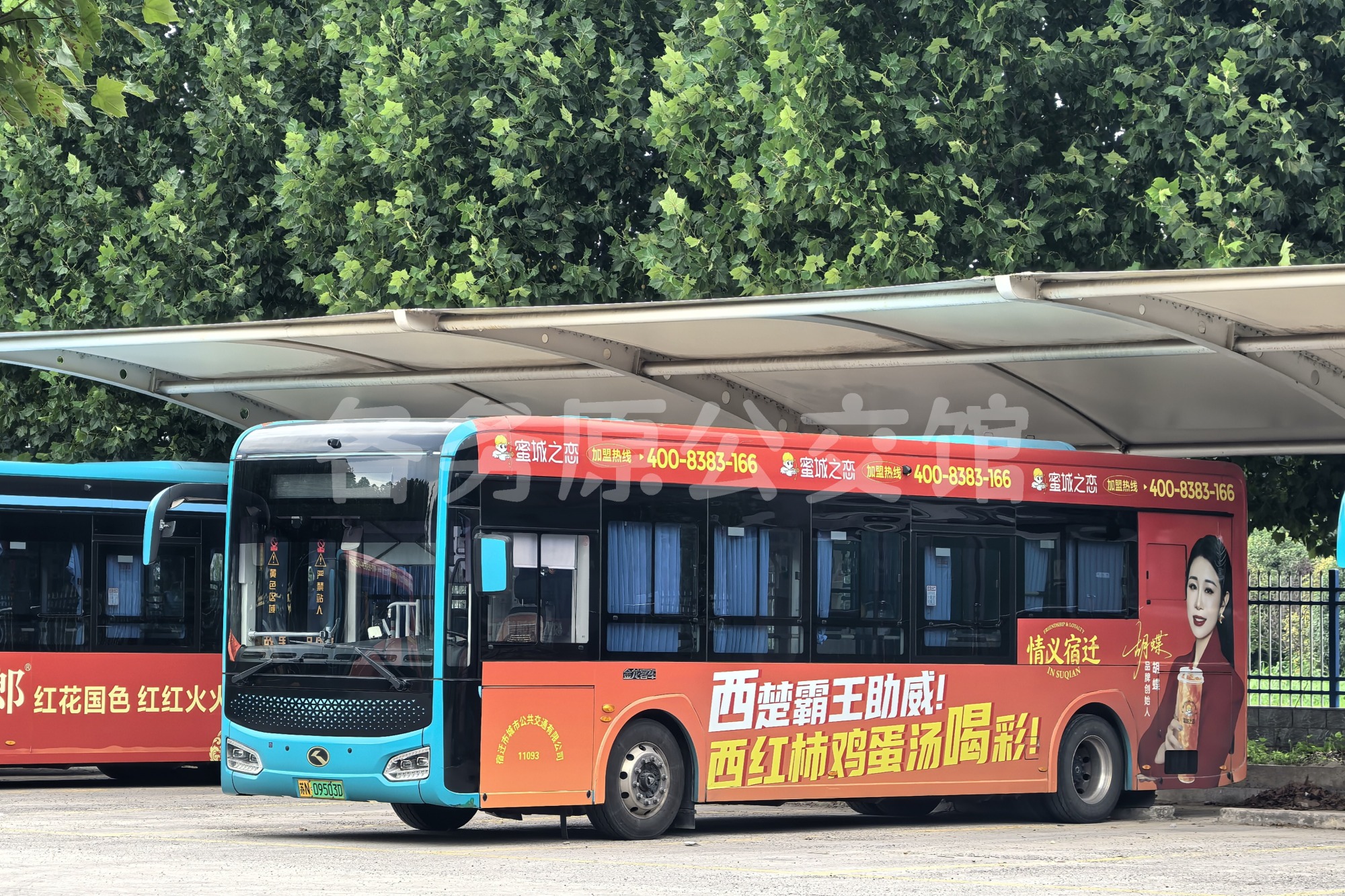 未命名图片
