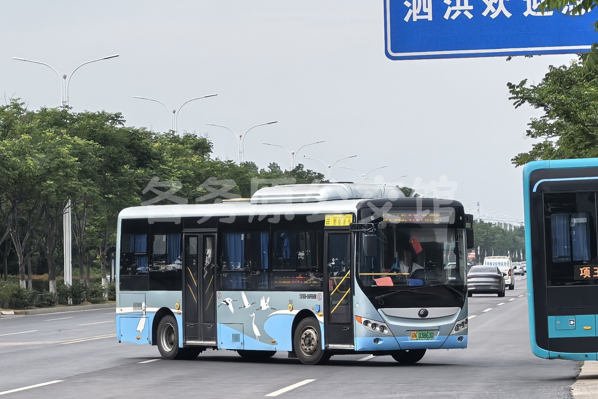 未命名图片