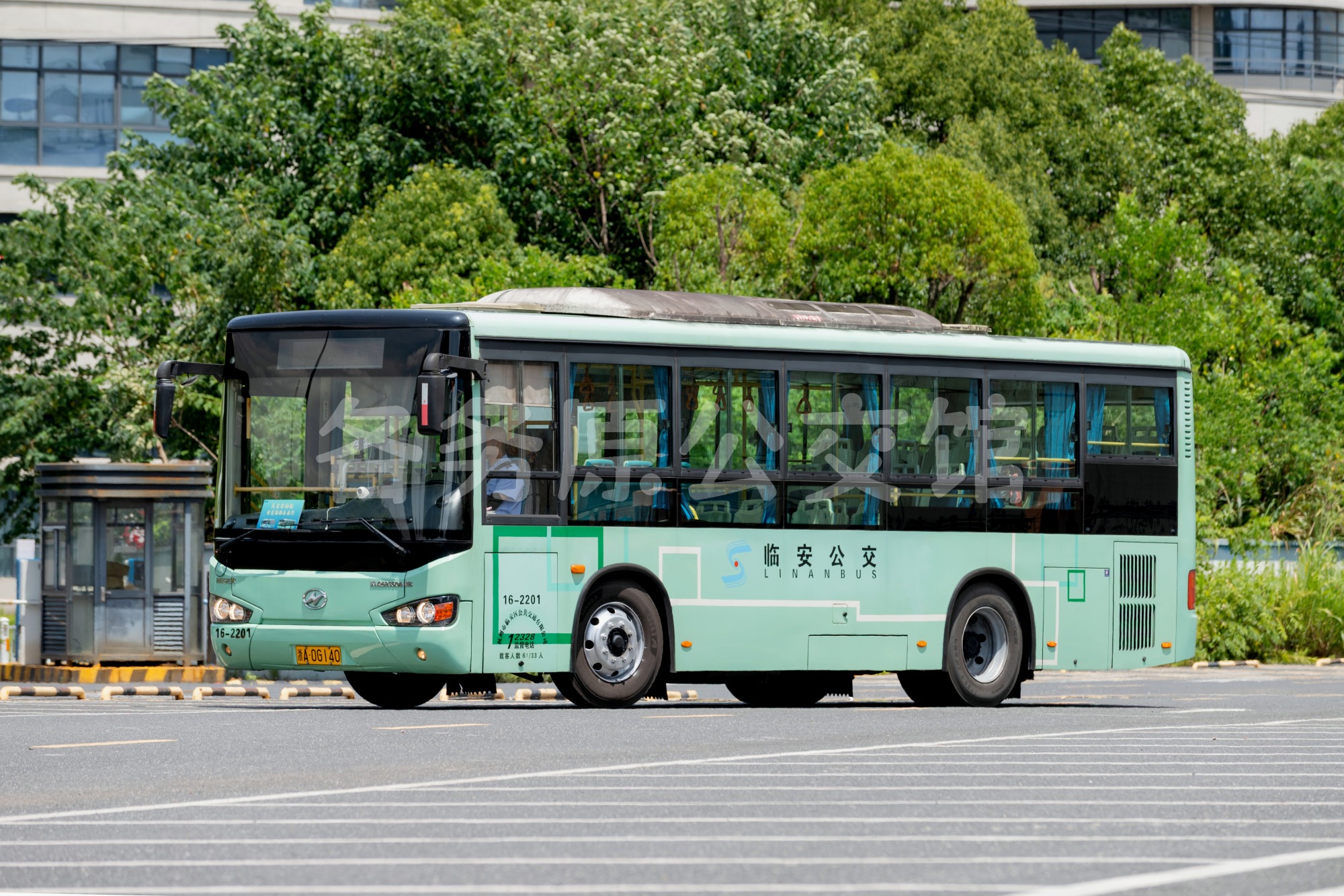 热门图片