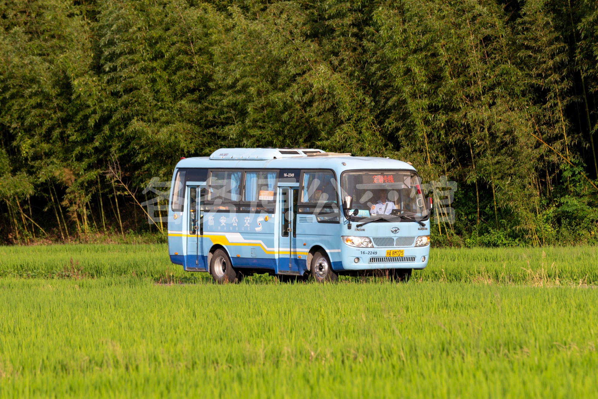 热门图片