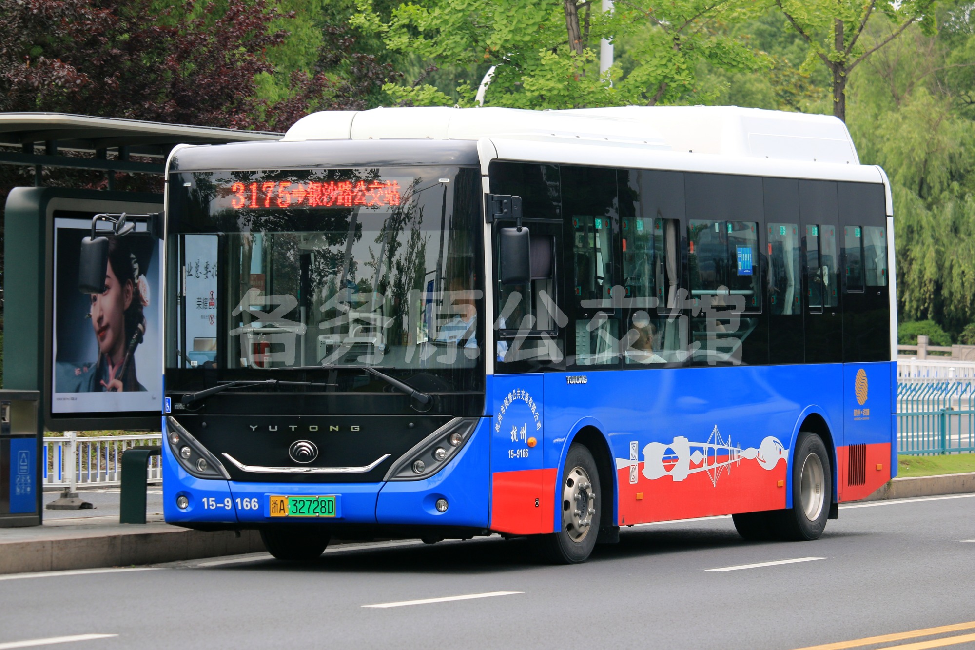热门图片