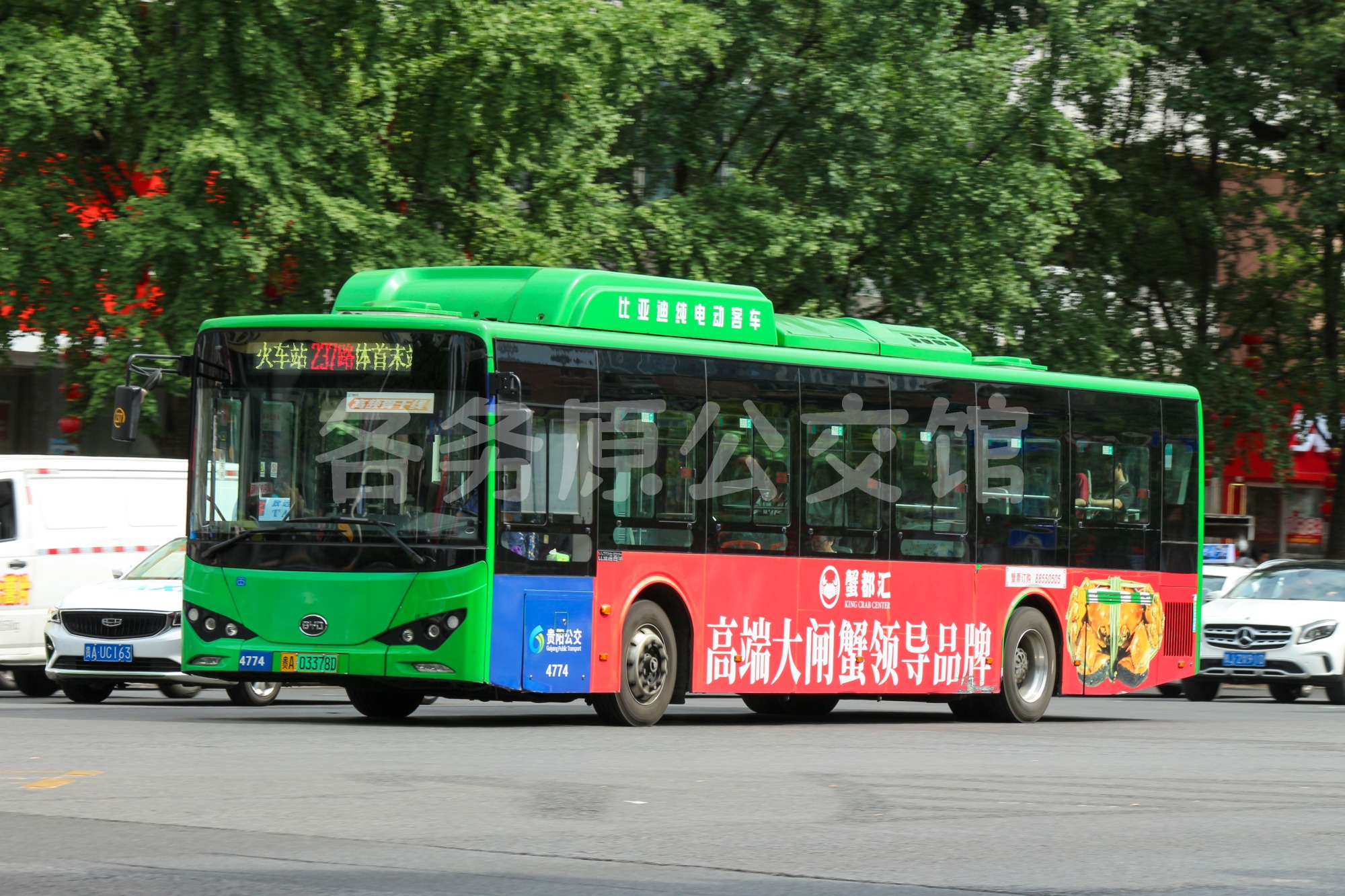 未命名图片