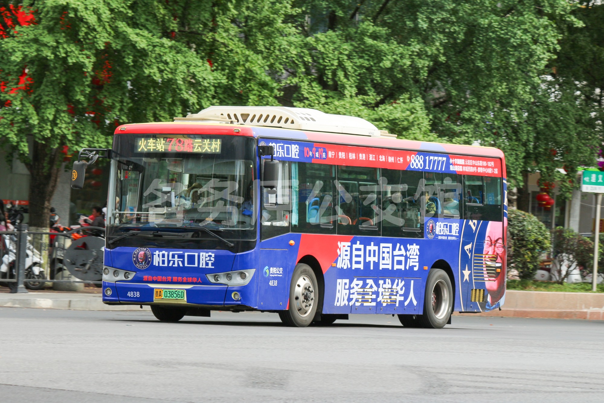 热门图片