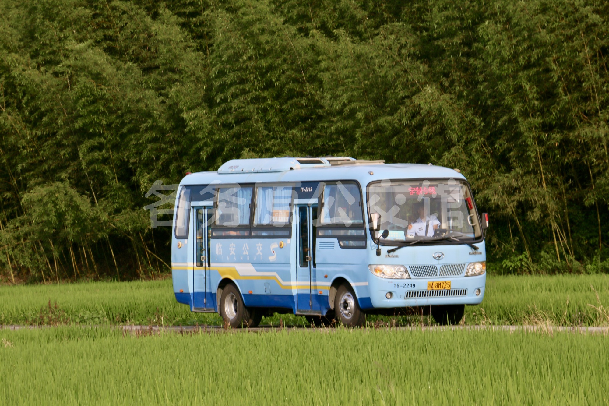 热门图片